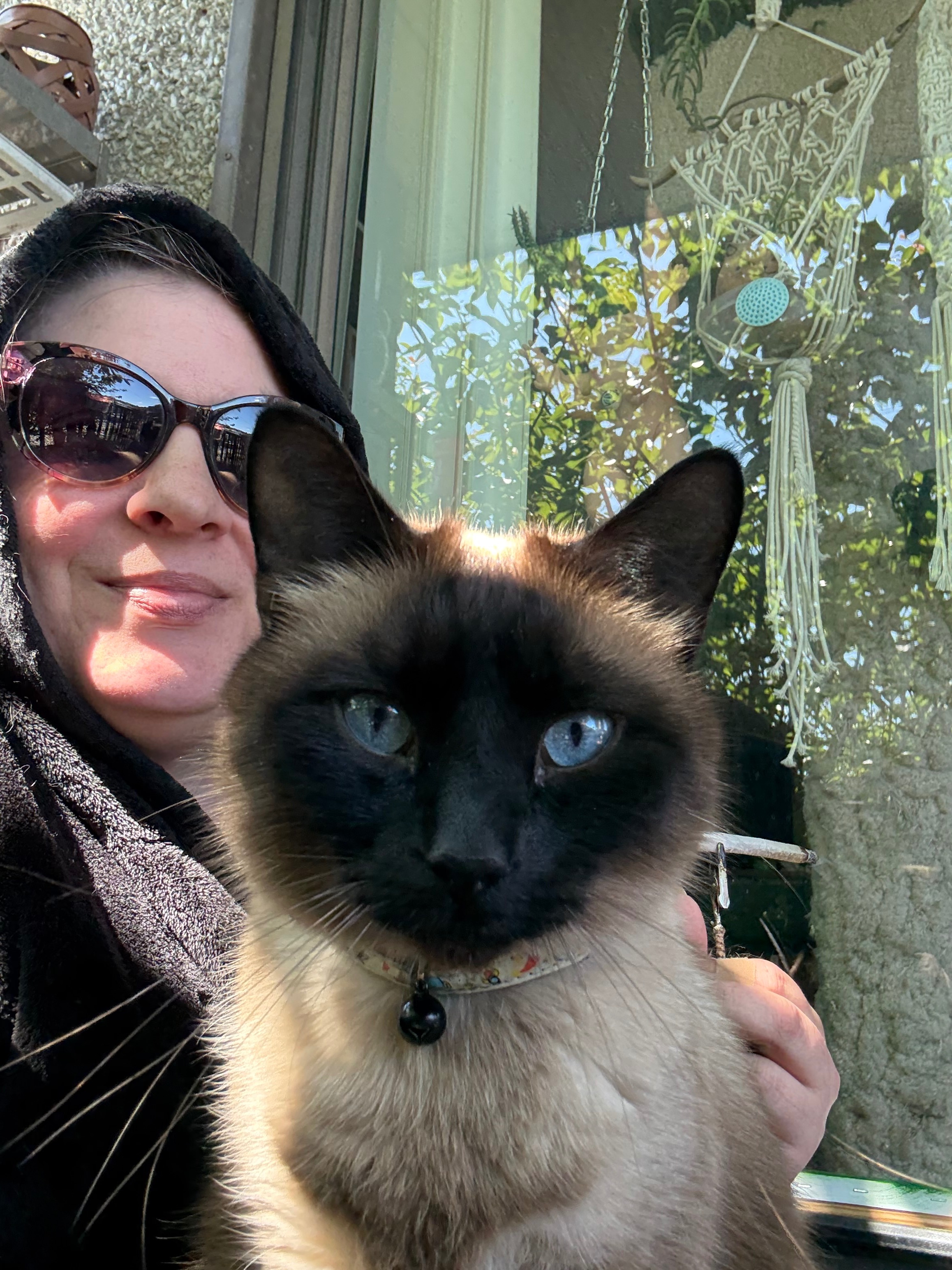 Emergency Housing Help for Christine & Her Pets campaign photo, 5 of 5