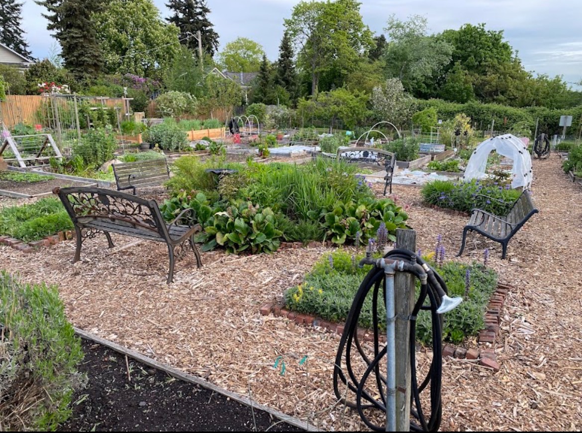 Support Gunnar's Garden Renovation Eagle Project campaign photo, 4 of 5