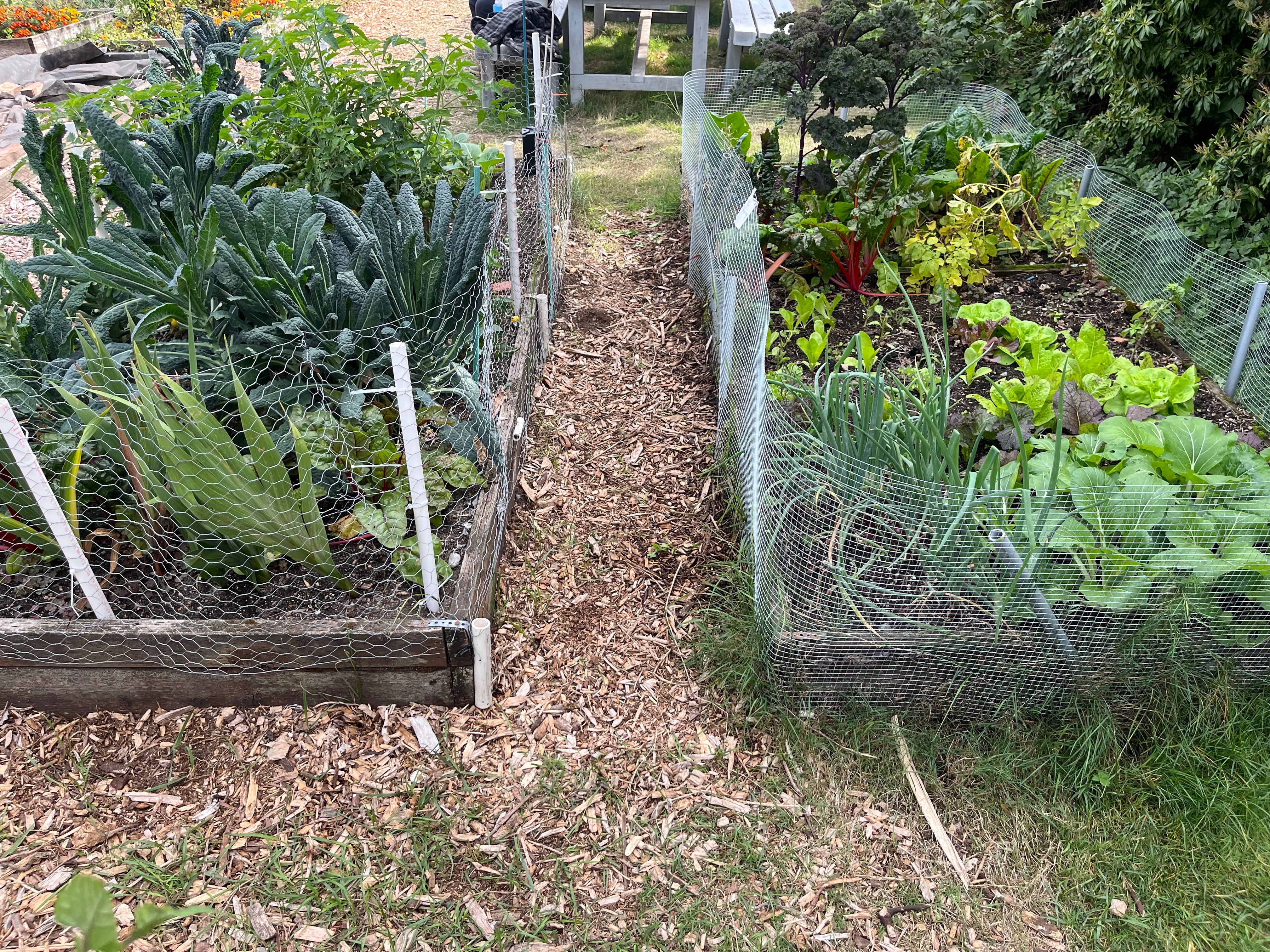 Support Gunnar's Garden Renovation Eagle Project campaign photo, 2 of 5