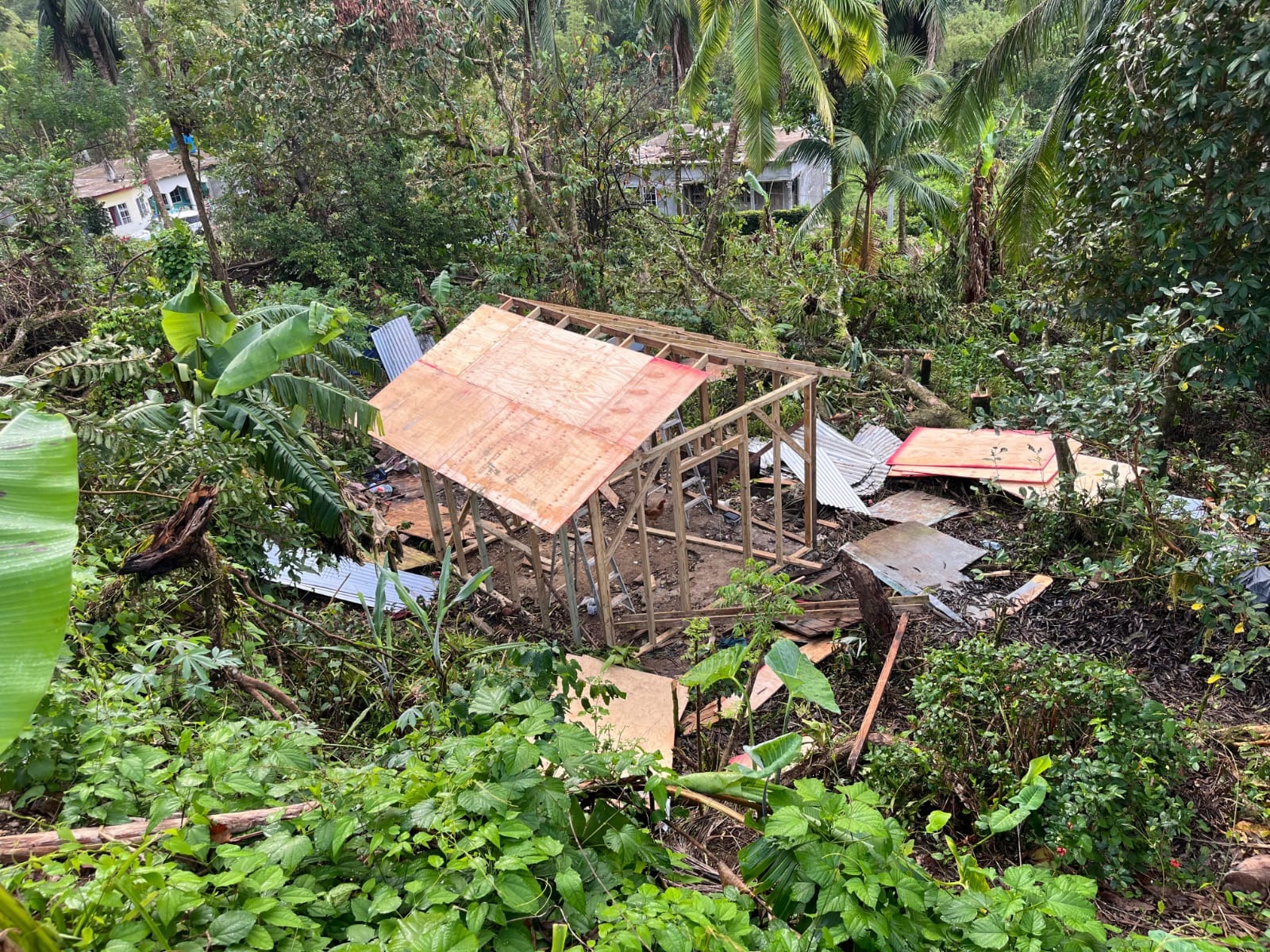 Jamaica Relief campaign photo, 5 of 7
