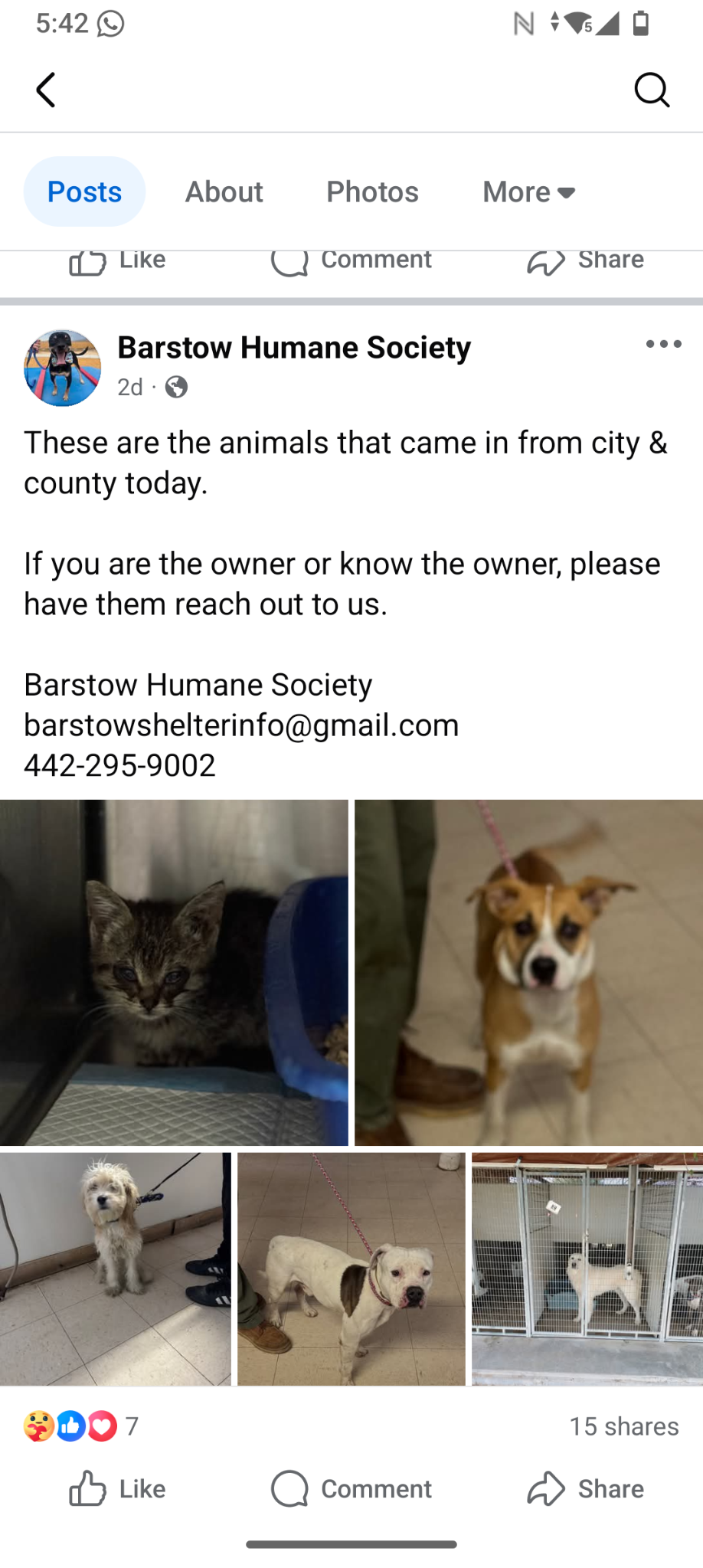 Support Ditzy's Return to Her Loving Home campaign photo, 5 of 5