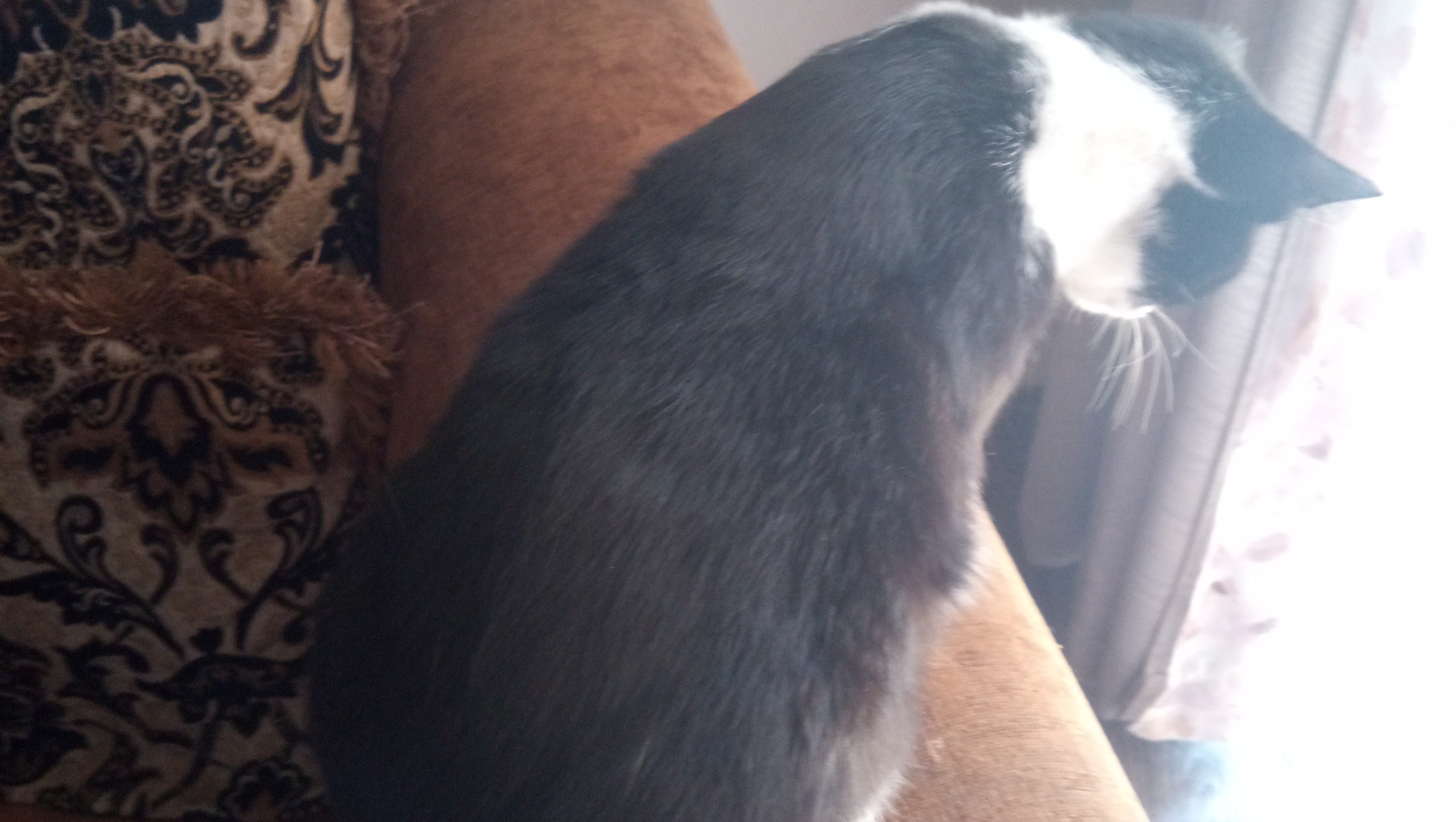 Urgent: Get Clinton to Safety from Conflict pinned link photo