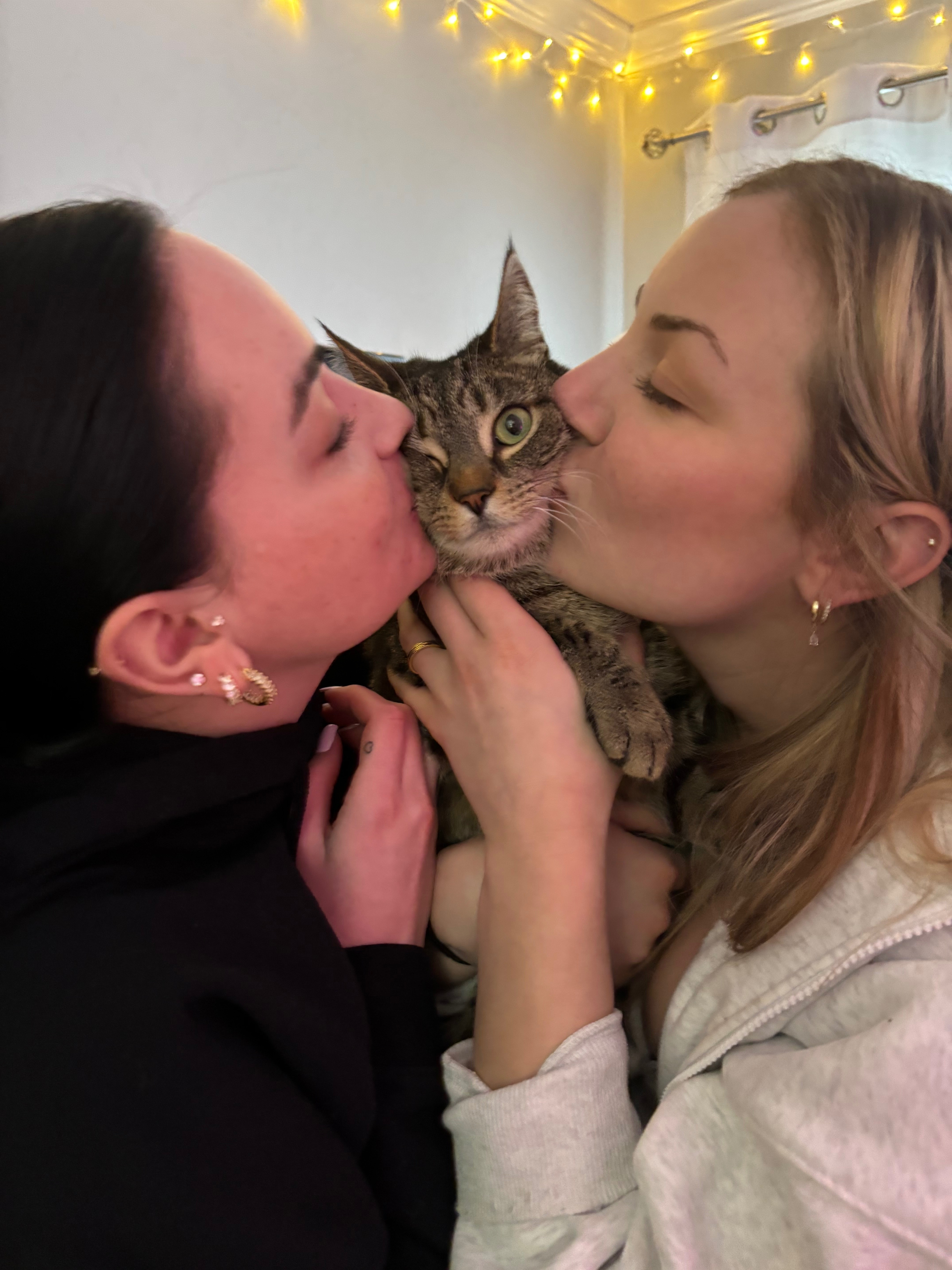 Help Save Atlas — Kayla’s Beloved Cat campaign photo, 6 of 7