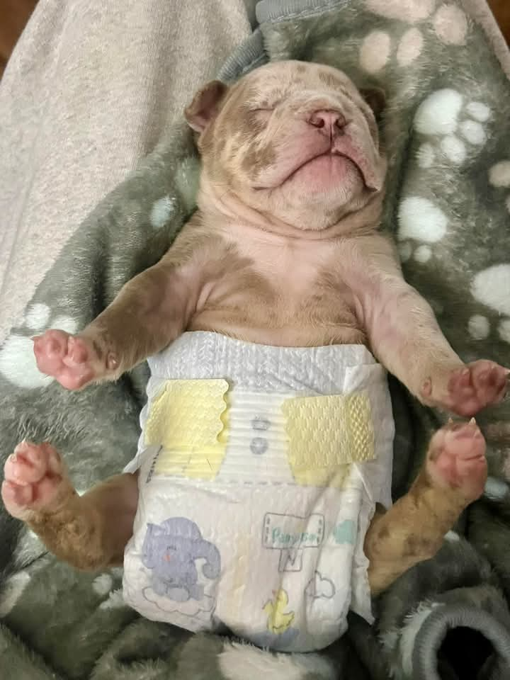 Winnie needs a miracle! campaign photo, 6 of 8