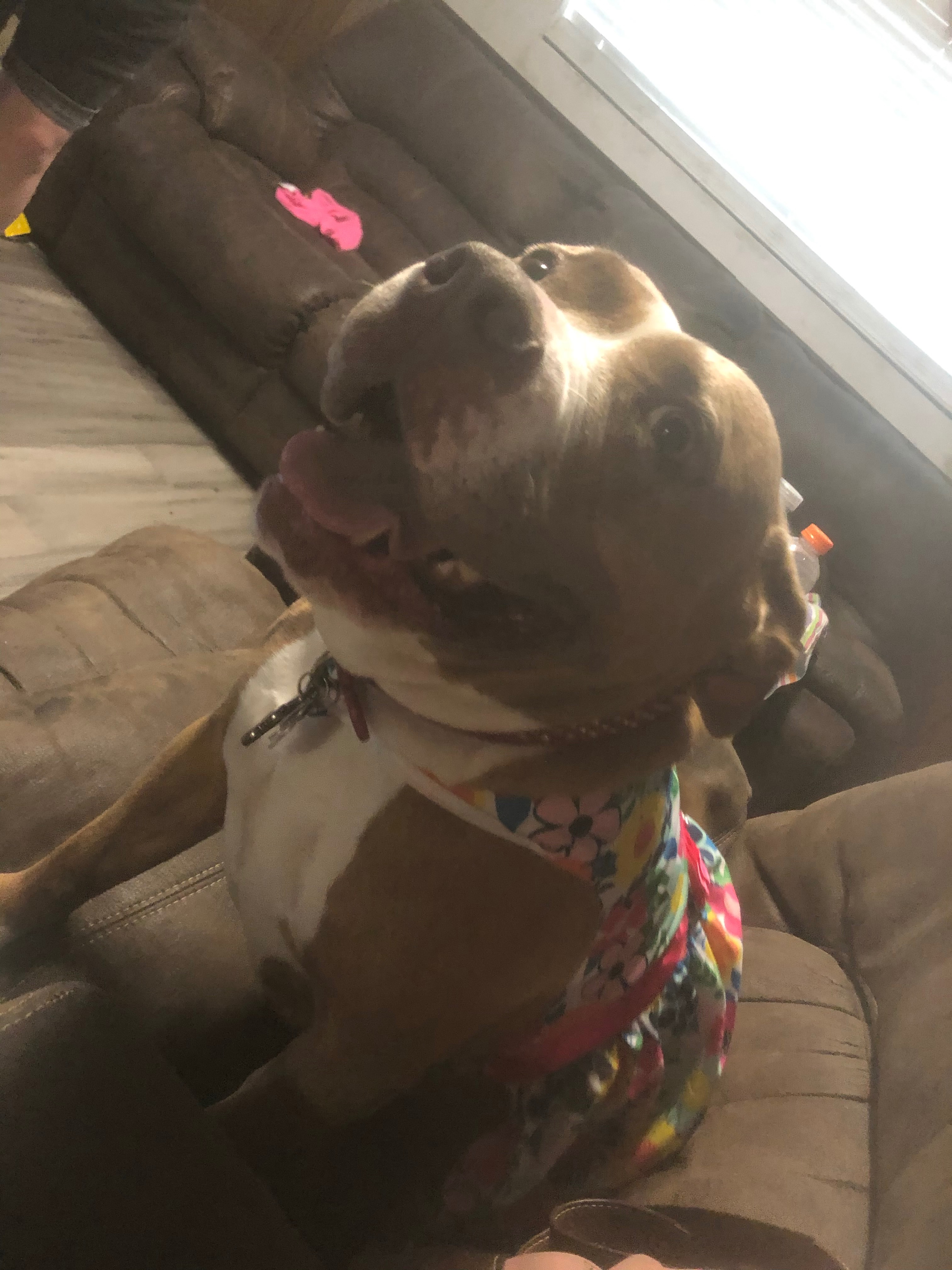 Help Roxanne Fight Cancer: Urgent Support Needed campaign photo, 7 of 8