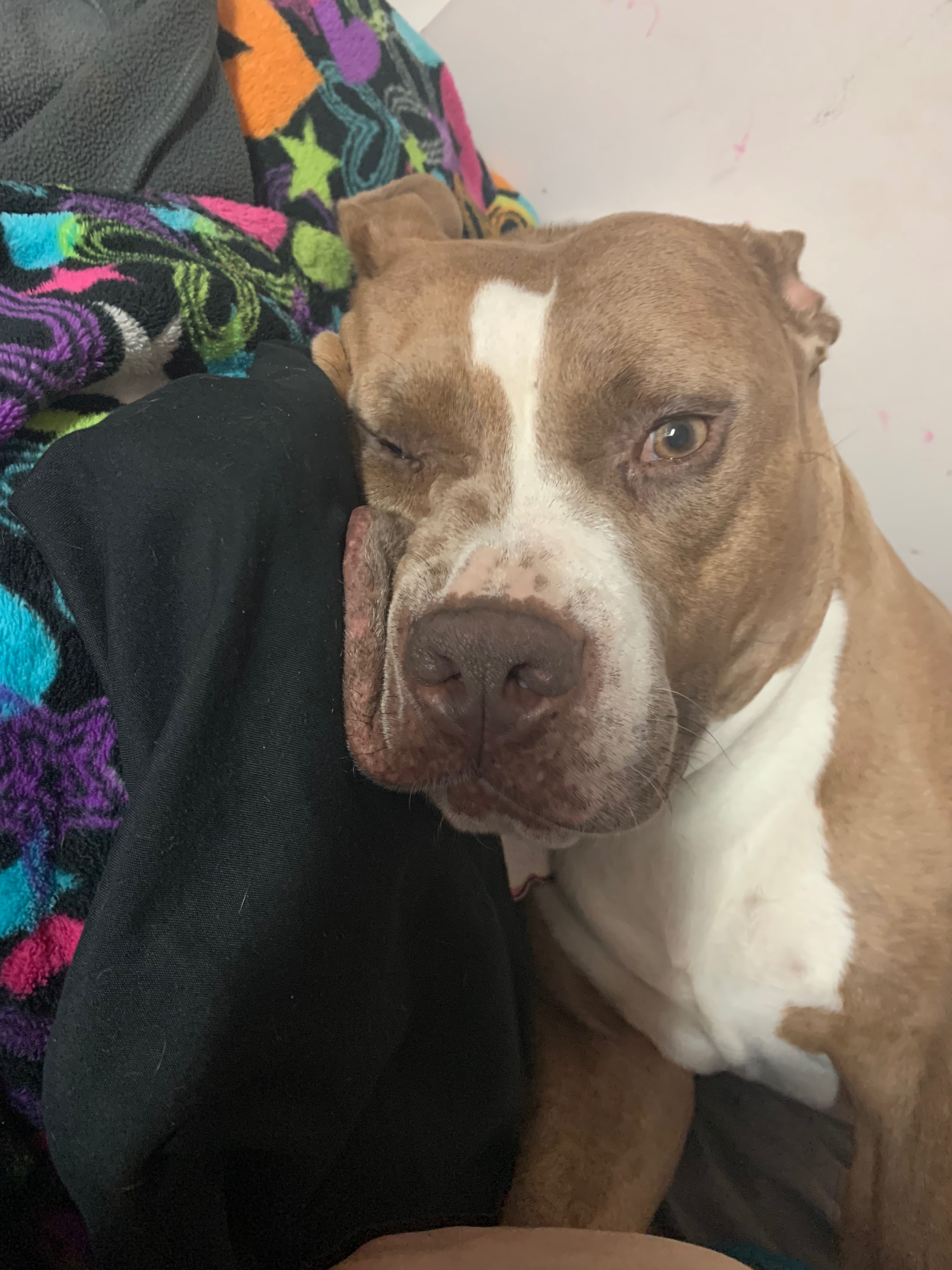 Help Roxanne Fight Cancer: Urgent Support Needed campaign photo, 2 of 8