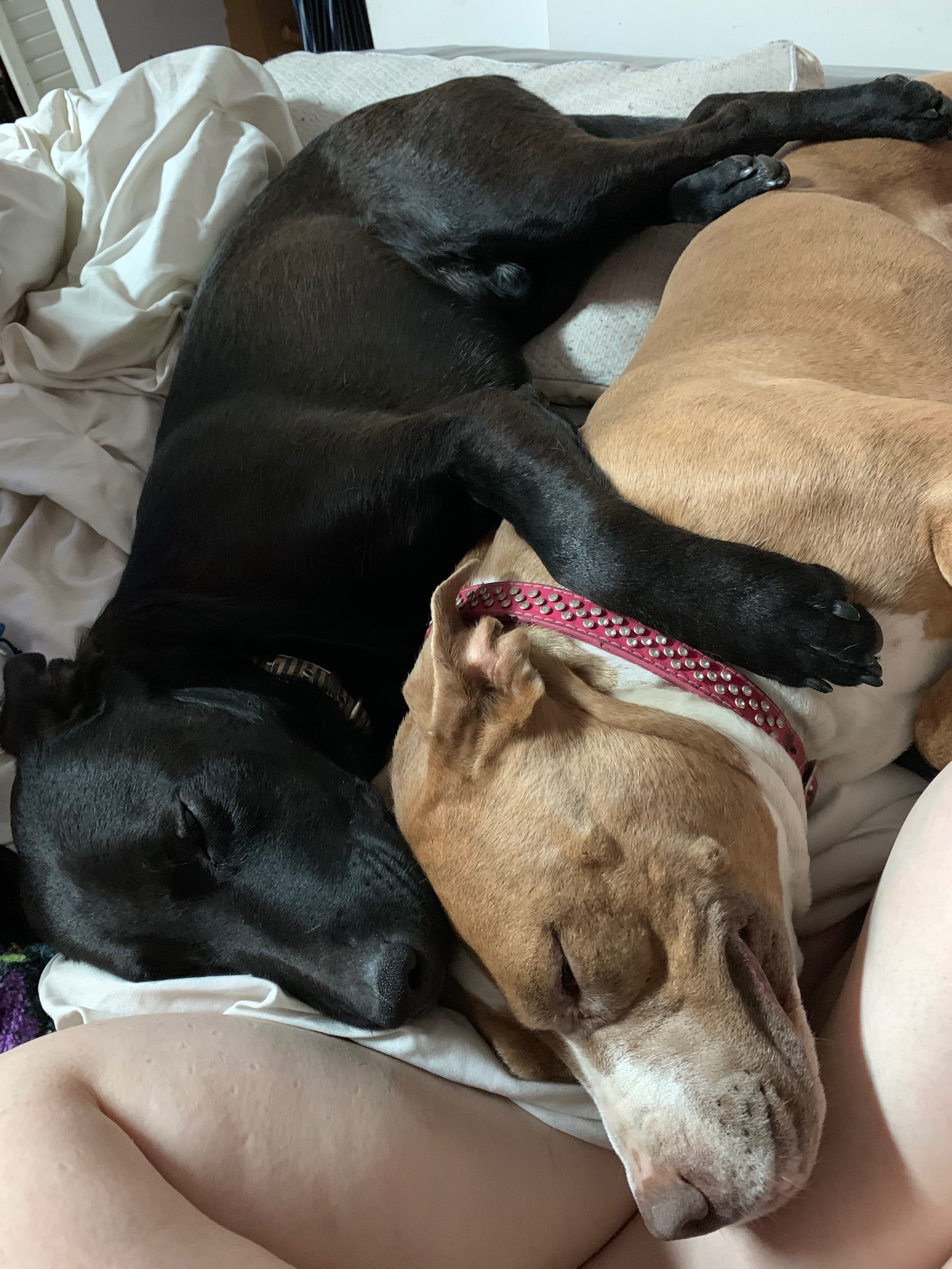 Help Roxanne Fight Cancer: Urgent Support Needed campaign photo, 5 of 8