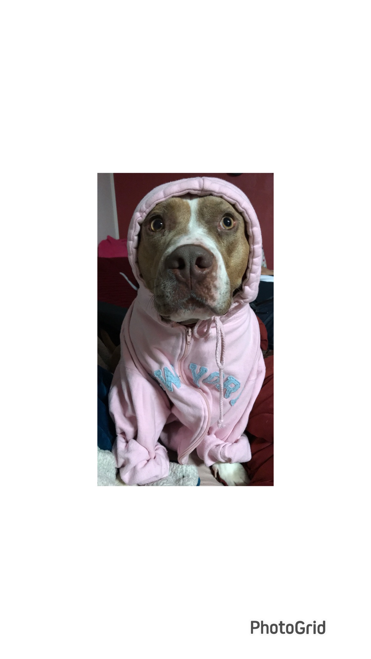 Help Roxanne Fight Cancer: Urgent Support Needed campaign photo, 6 of 8