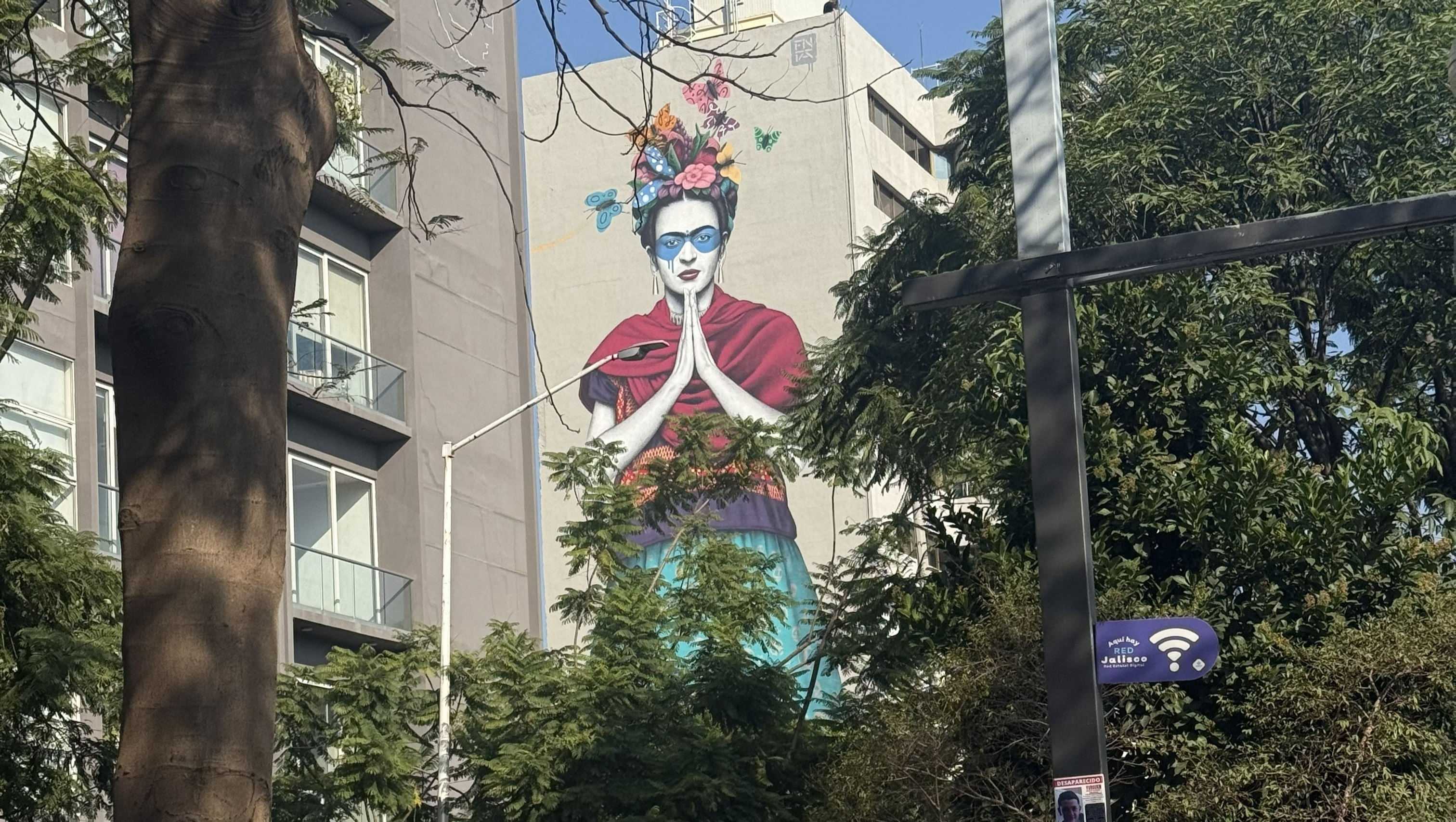 Help our friends stay safe until they can return home. photo