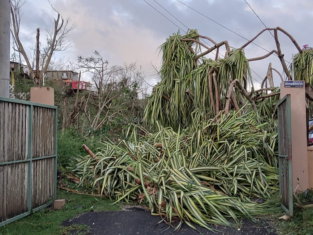 Help Naomi's Mother Rebuild After Hurricane Melissa campaign photo, 4 of 8