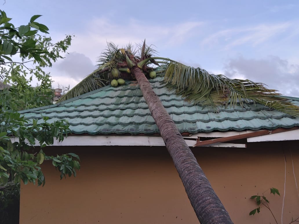 Help Naomi's Mother Rebuild After Hurricane Melissa campaign photo, 2 of 8