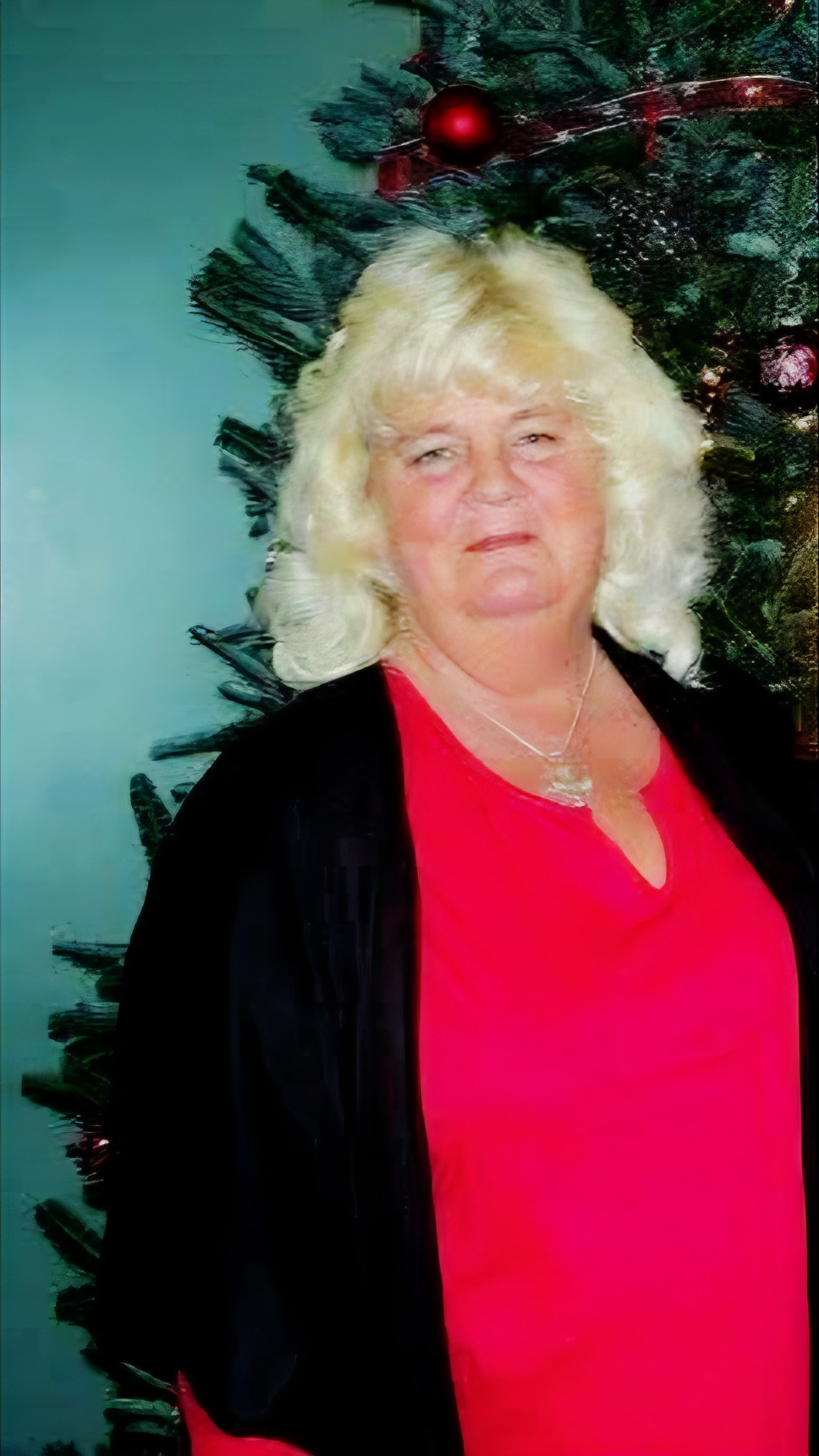 Support Kim Pugh's Battle Against Stage 4 Cancer campaign photo, 4 of 8
