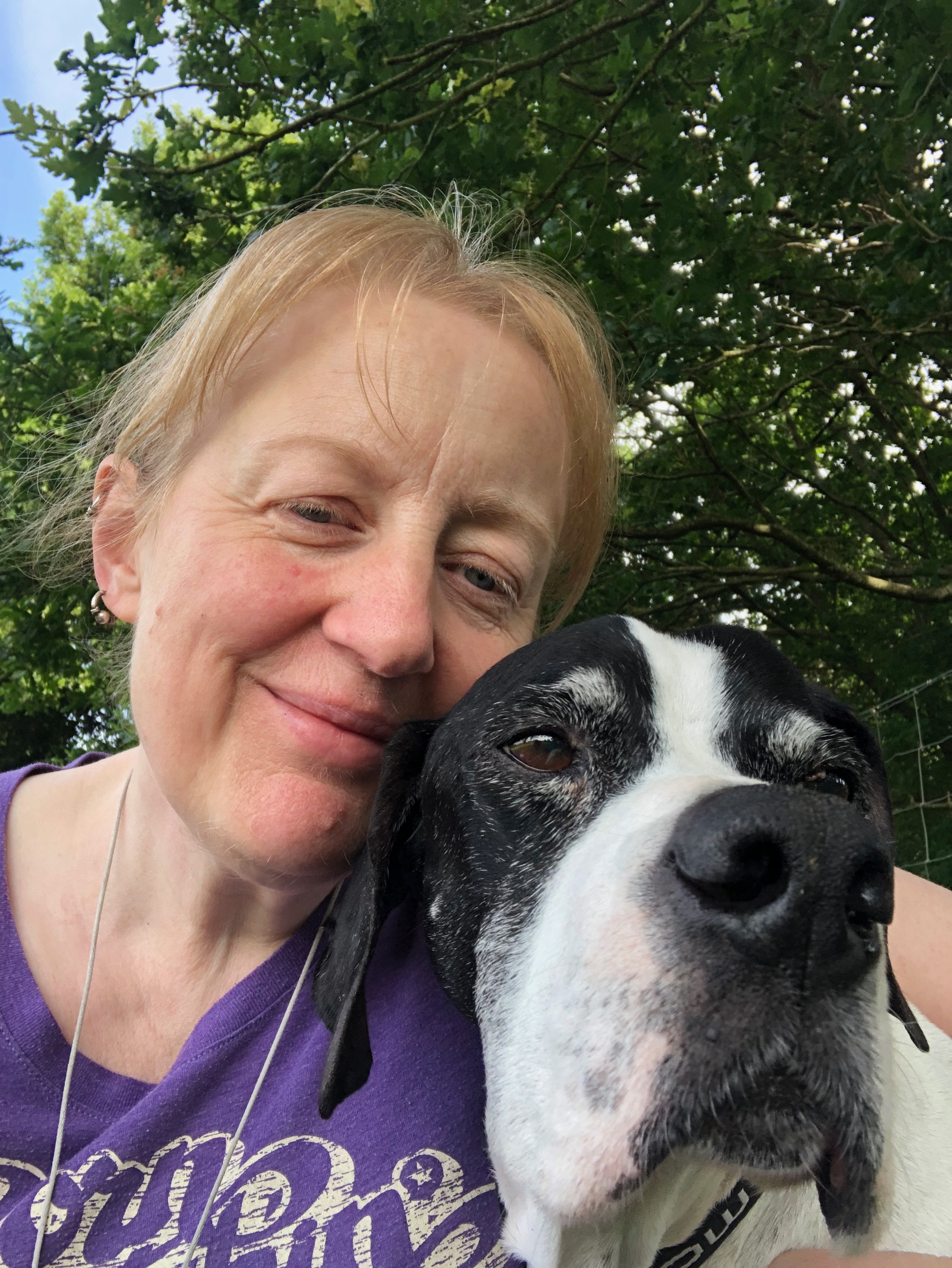 Rescue Vagellis the pointer to a new life in France campaign photo, 2 of 6