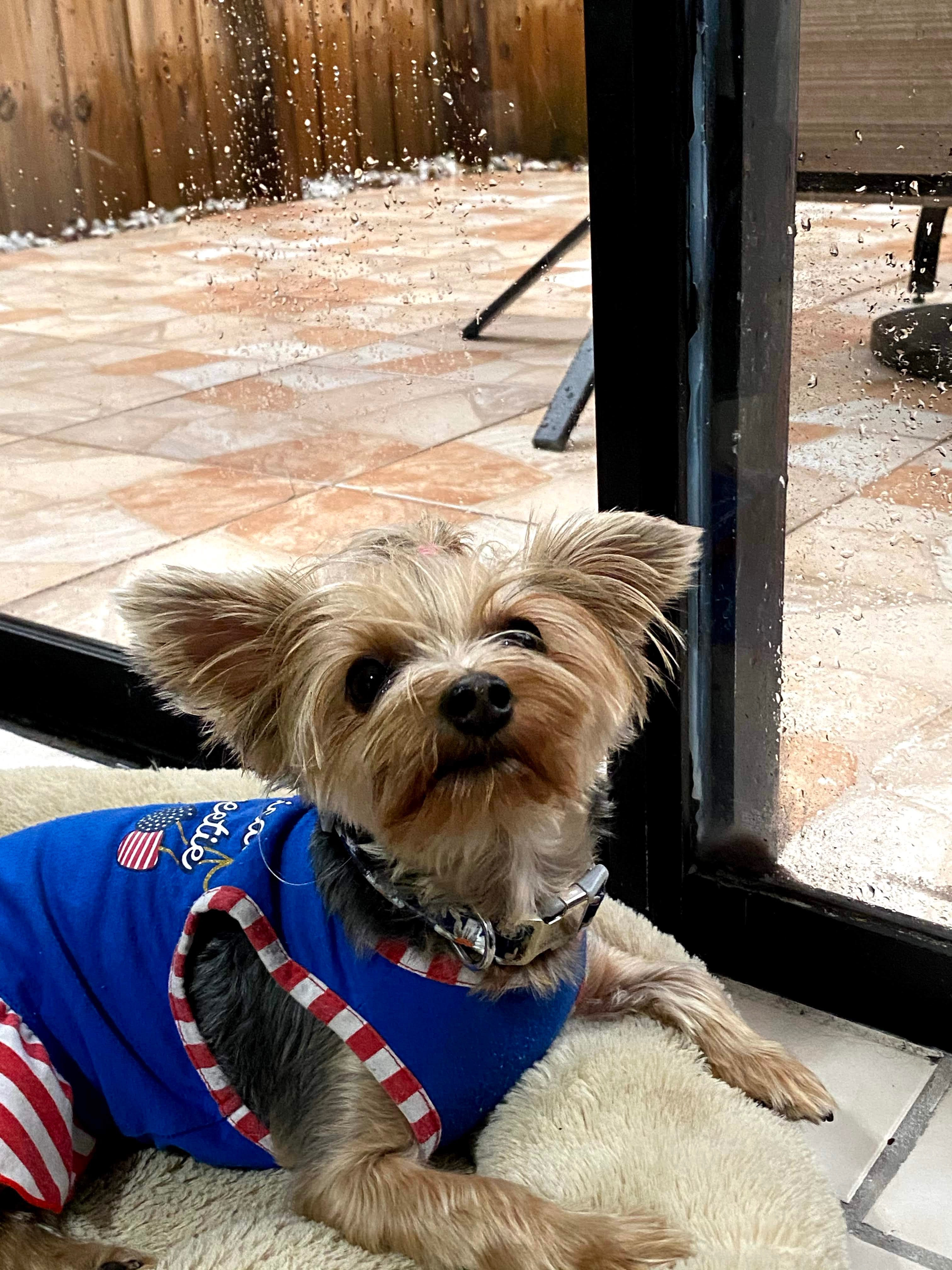 Support Luna's Family with Medical Bills campaign photo, 2 of 5