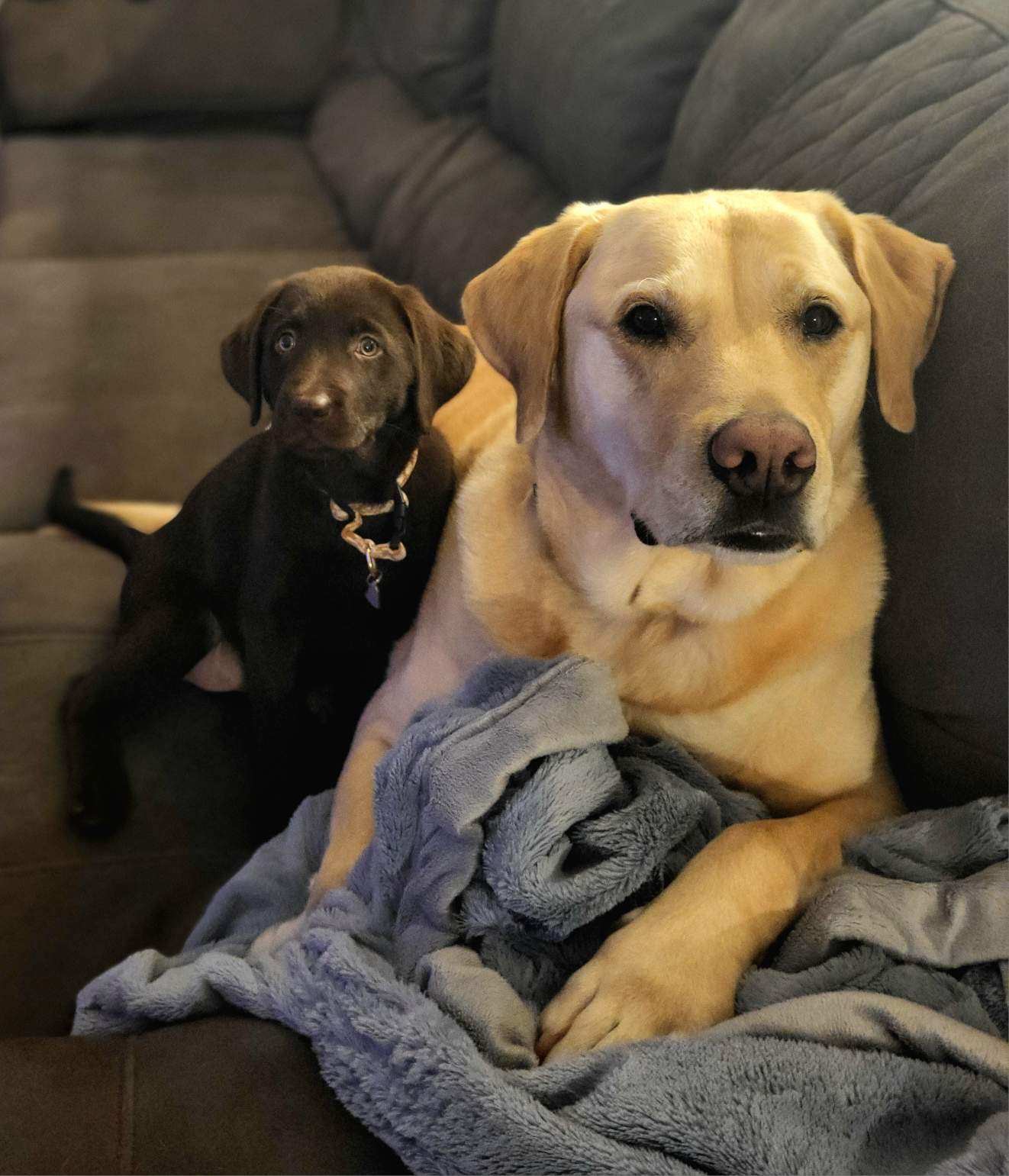 Help Katie & Jason Rebuild After House Fire campaign photo, 4 of 7