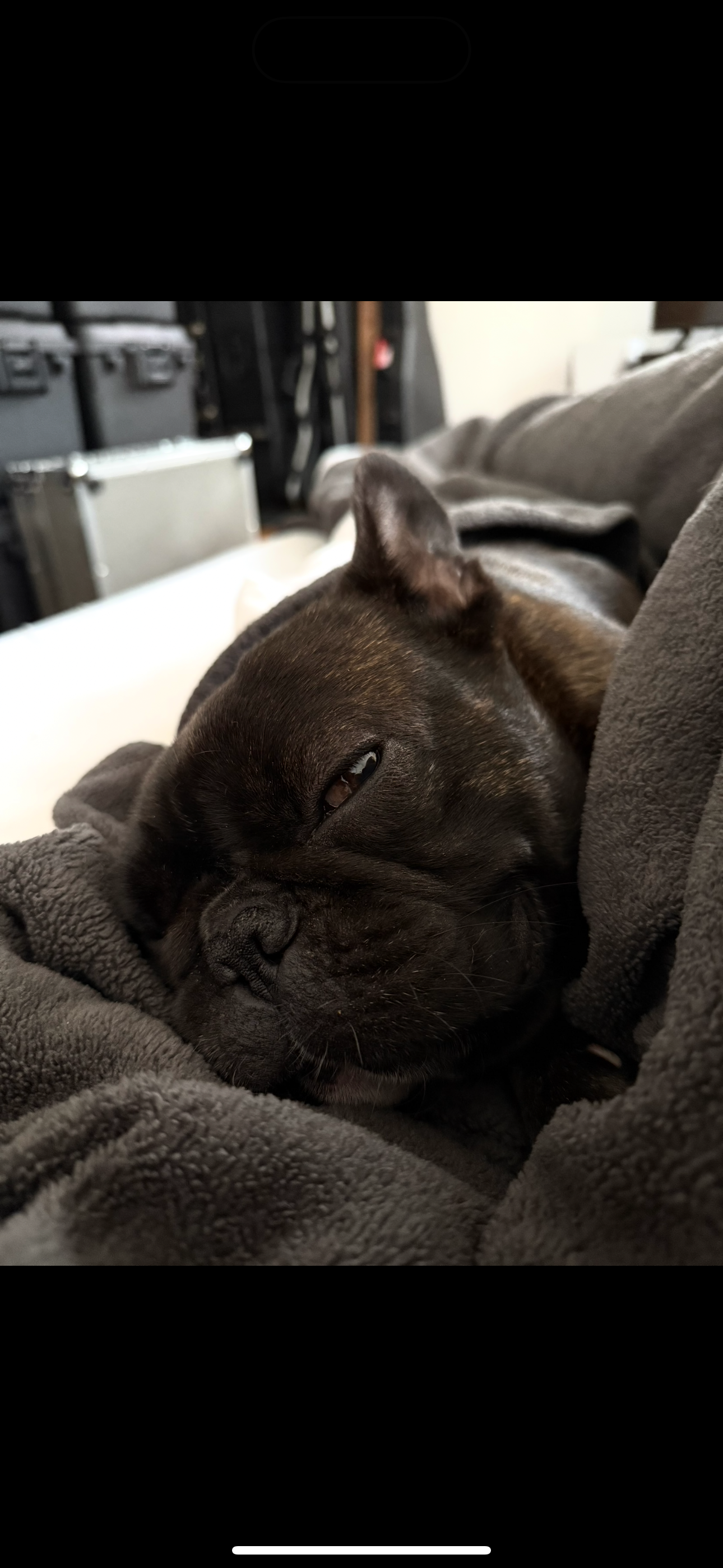 Urgent Surgery Needed for Doom's Recovery. campaign photo, 4 of 5