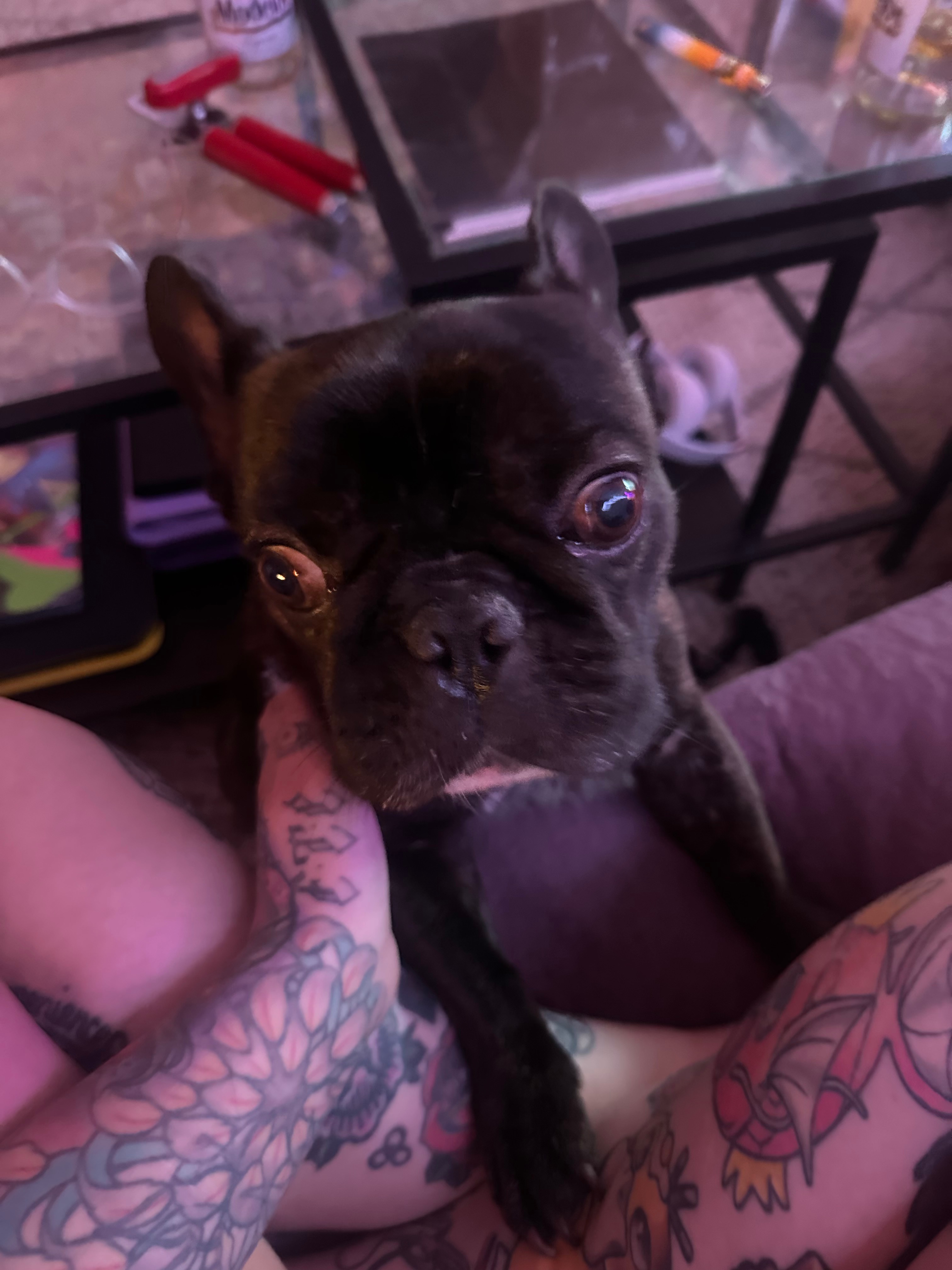 Urgent Surgery Needed for Doom's Recovery. campaign photo, 2 of 5