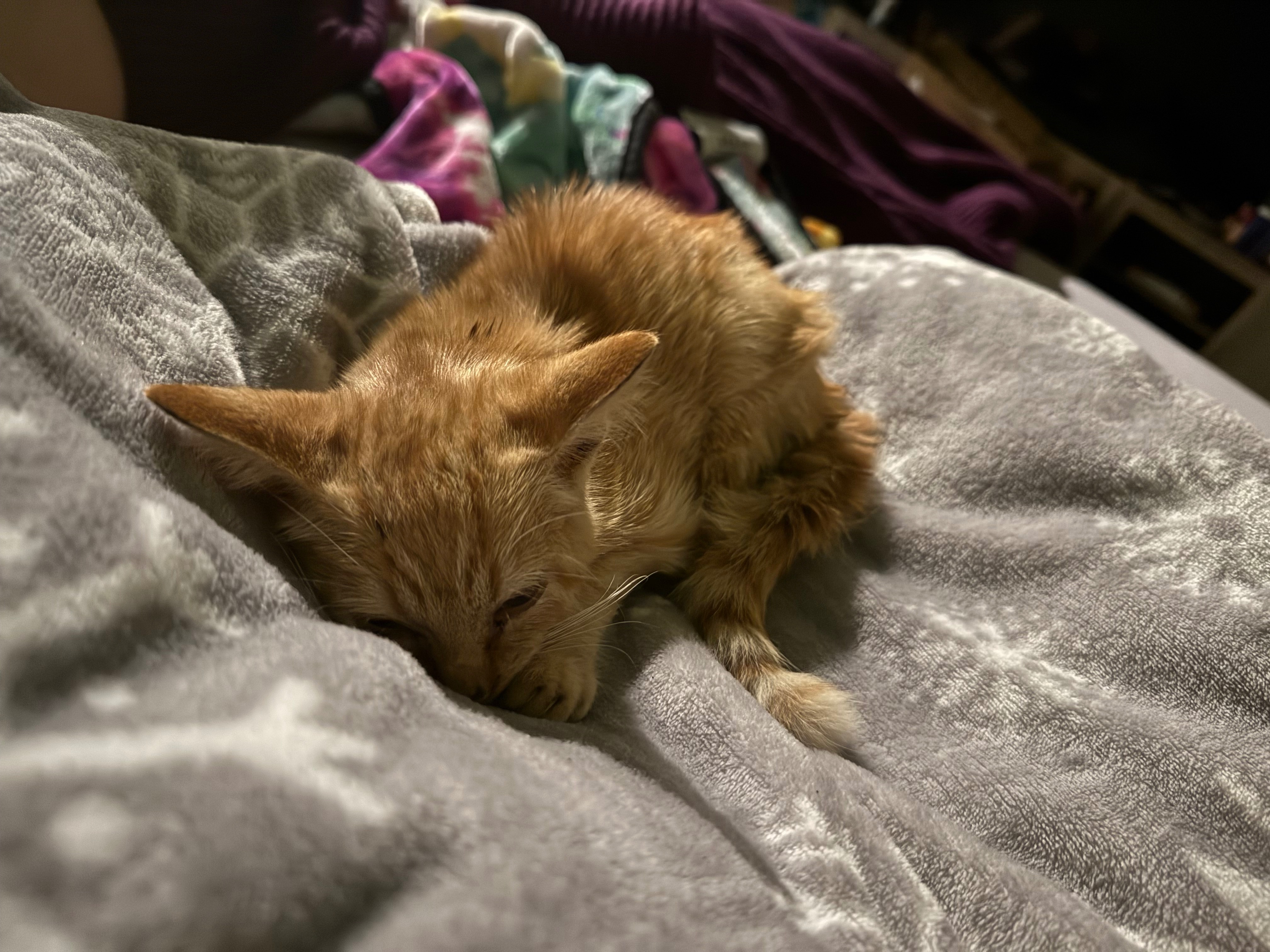 Help Fiyero Heal: Support His Amputation campaign photo, 6 of 8