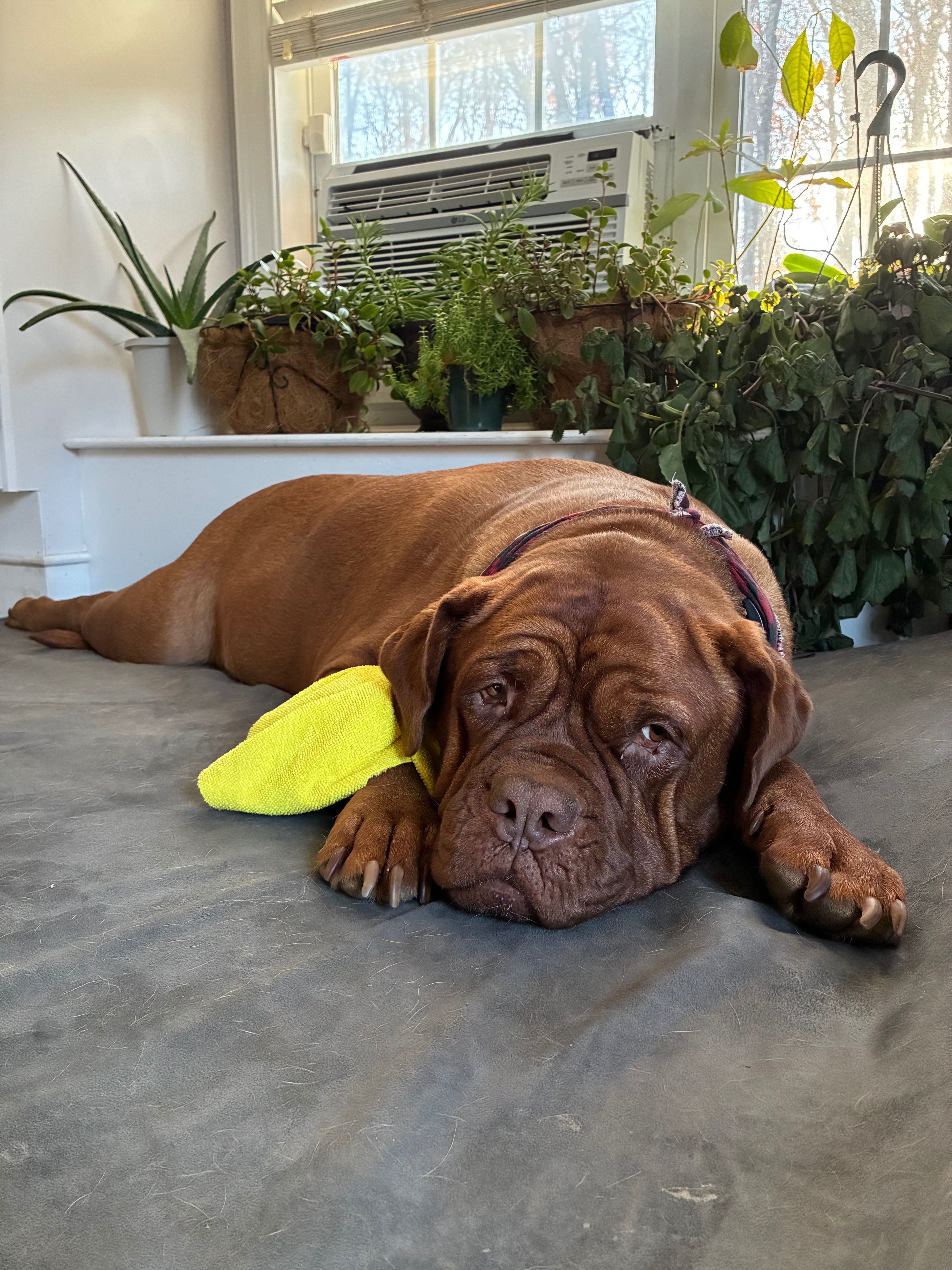 Support Nahla's amputation surgery campaign photo, 7 of 8
