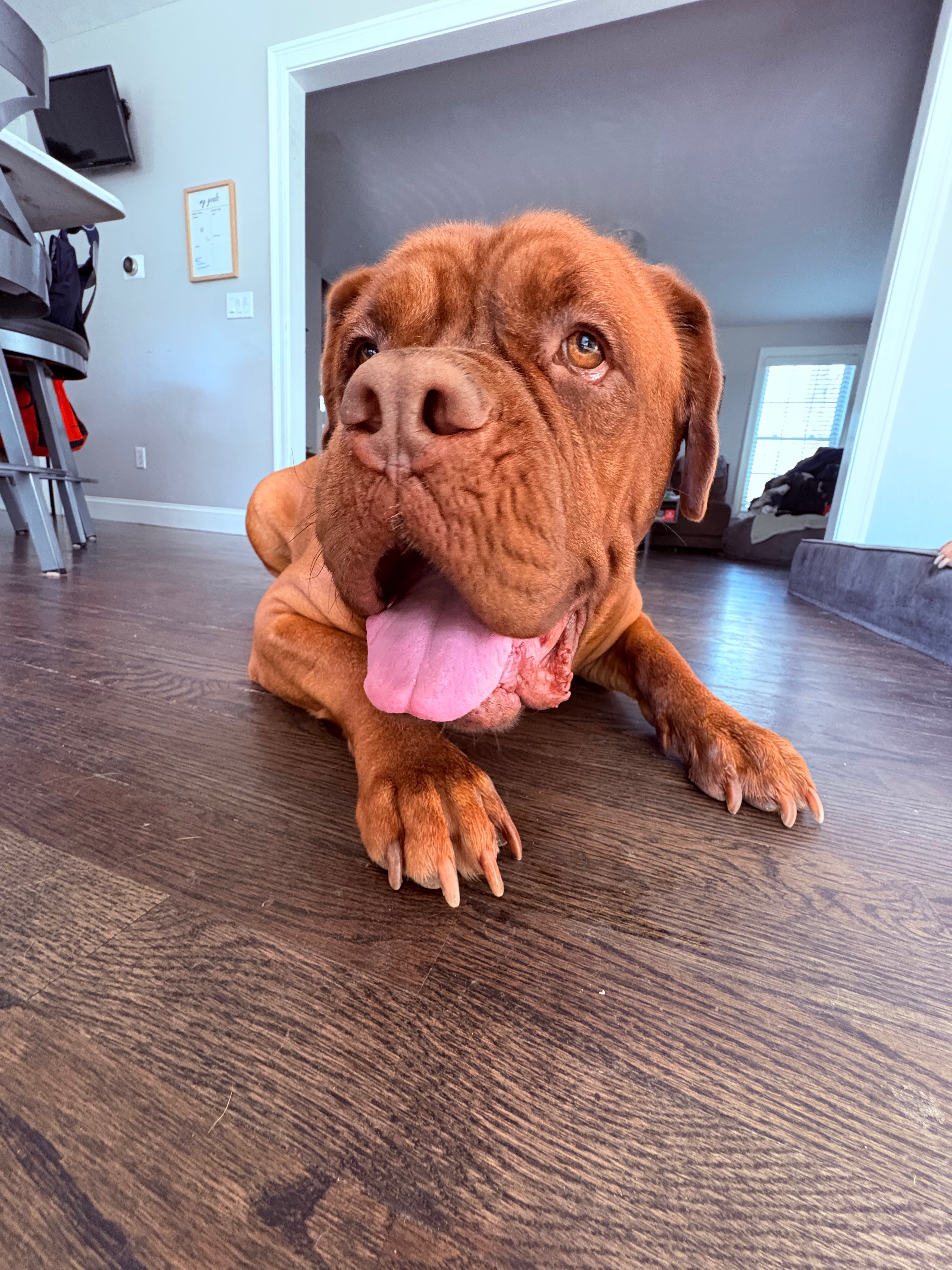 Support Nahla's amputation surgery campaign photo, 2 of 8