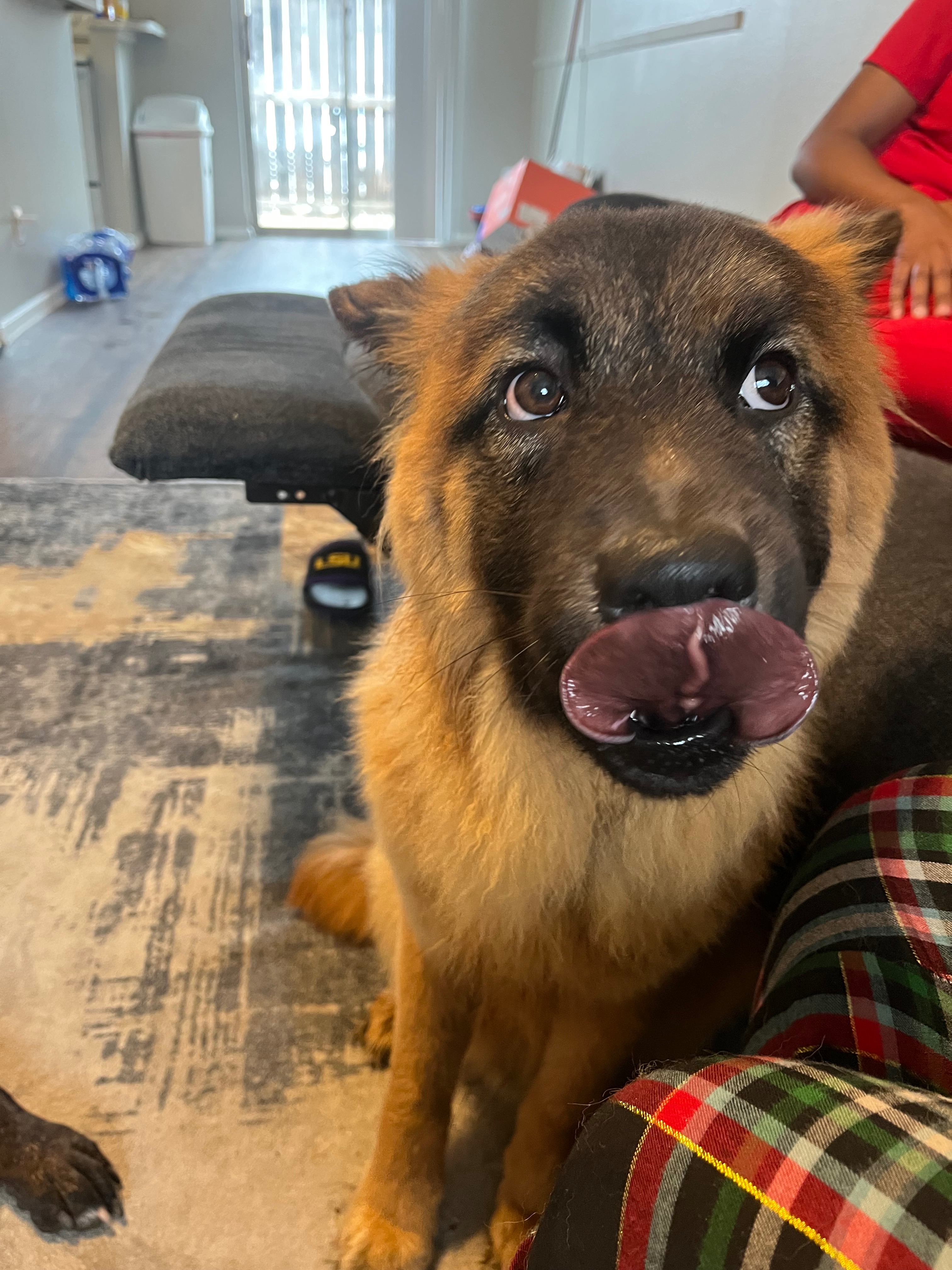 Urgent Care Needed for Abandoned Puppy campaign photo, 2 of 6