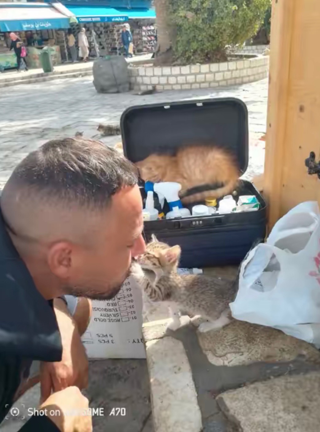 Farouk Kattet Care for Abandoned Animals in Sousse , Tunisia campaign photo, 2 of 8