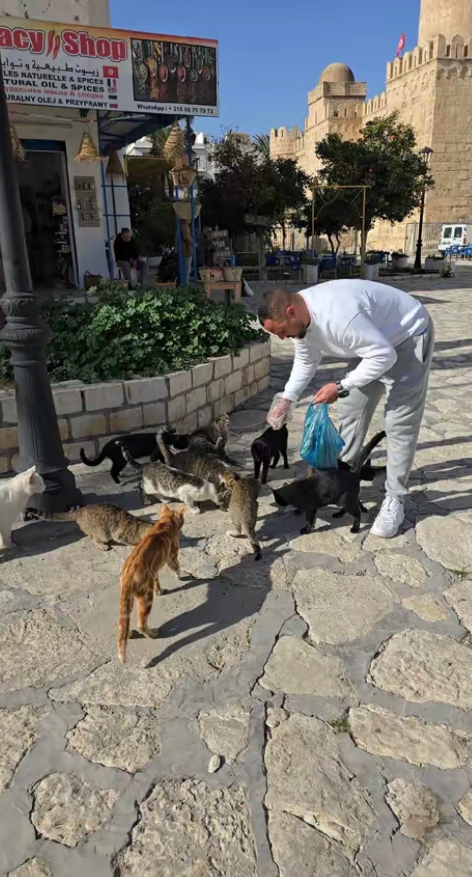 Farouk Kattet Care for Abandoned Animals in Sousse , Tunisia campaign photo, 4 of 8