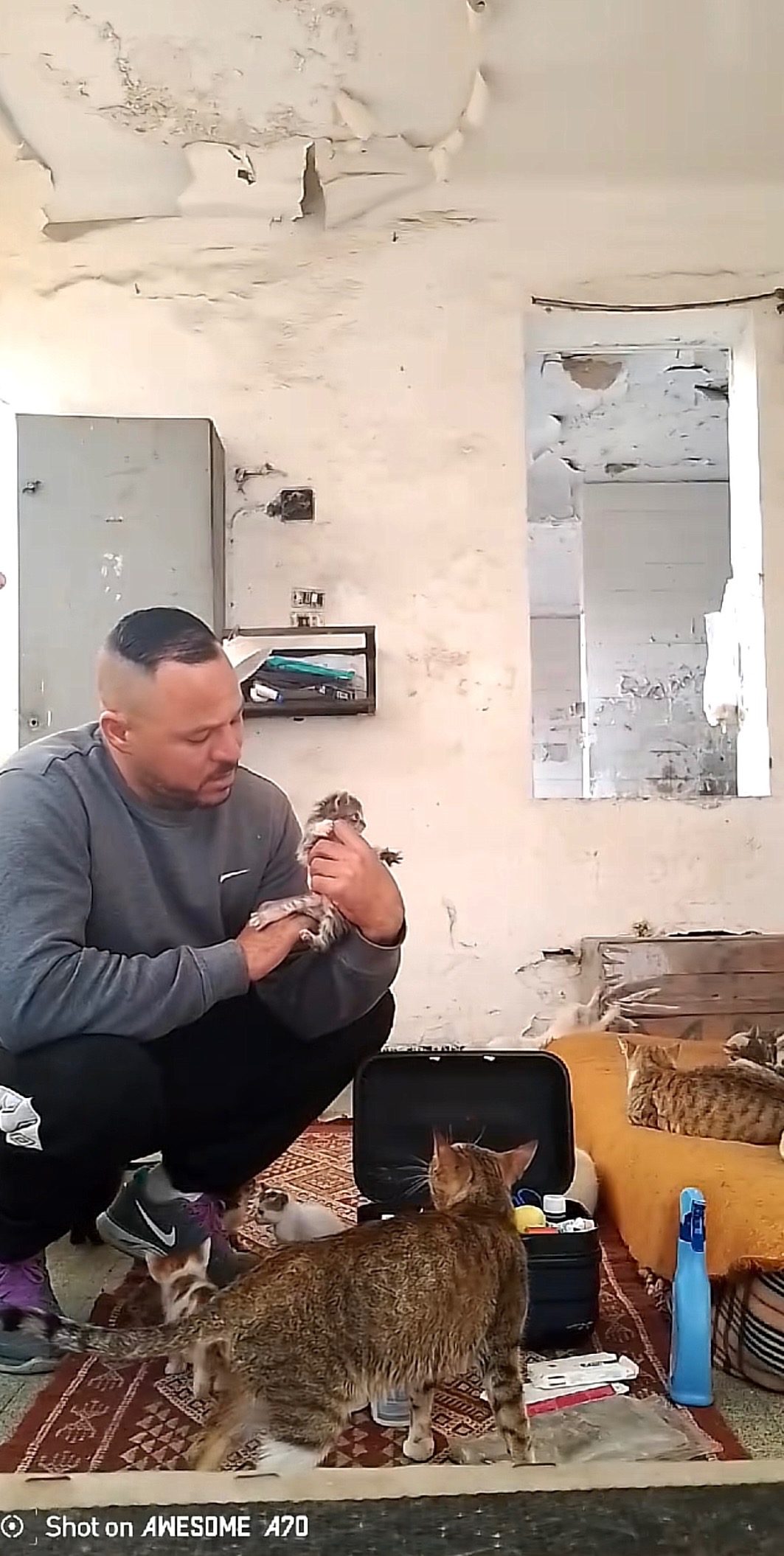 Farouk Kattet Care for Abandoned Animals in Sousse , Tunisia campaign photo, 5 of 8