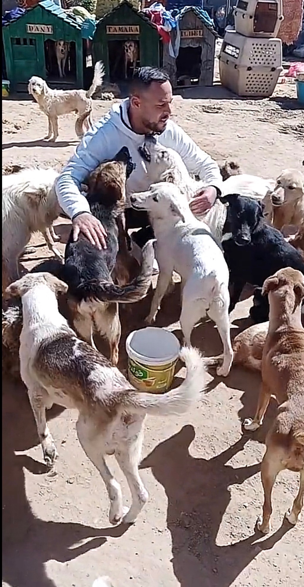 Farouk Kattet Care for Abandoned Animals in Sousse , Tunisia campaign photo, 6 of 8