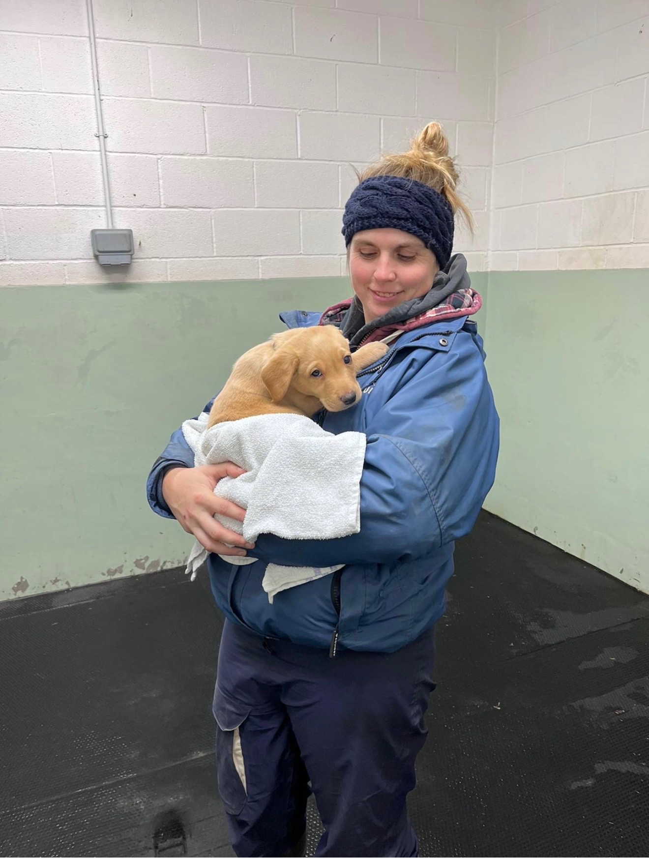 Help a puppy have lifesaving surgery campaign photo, 4 of 5