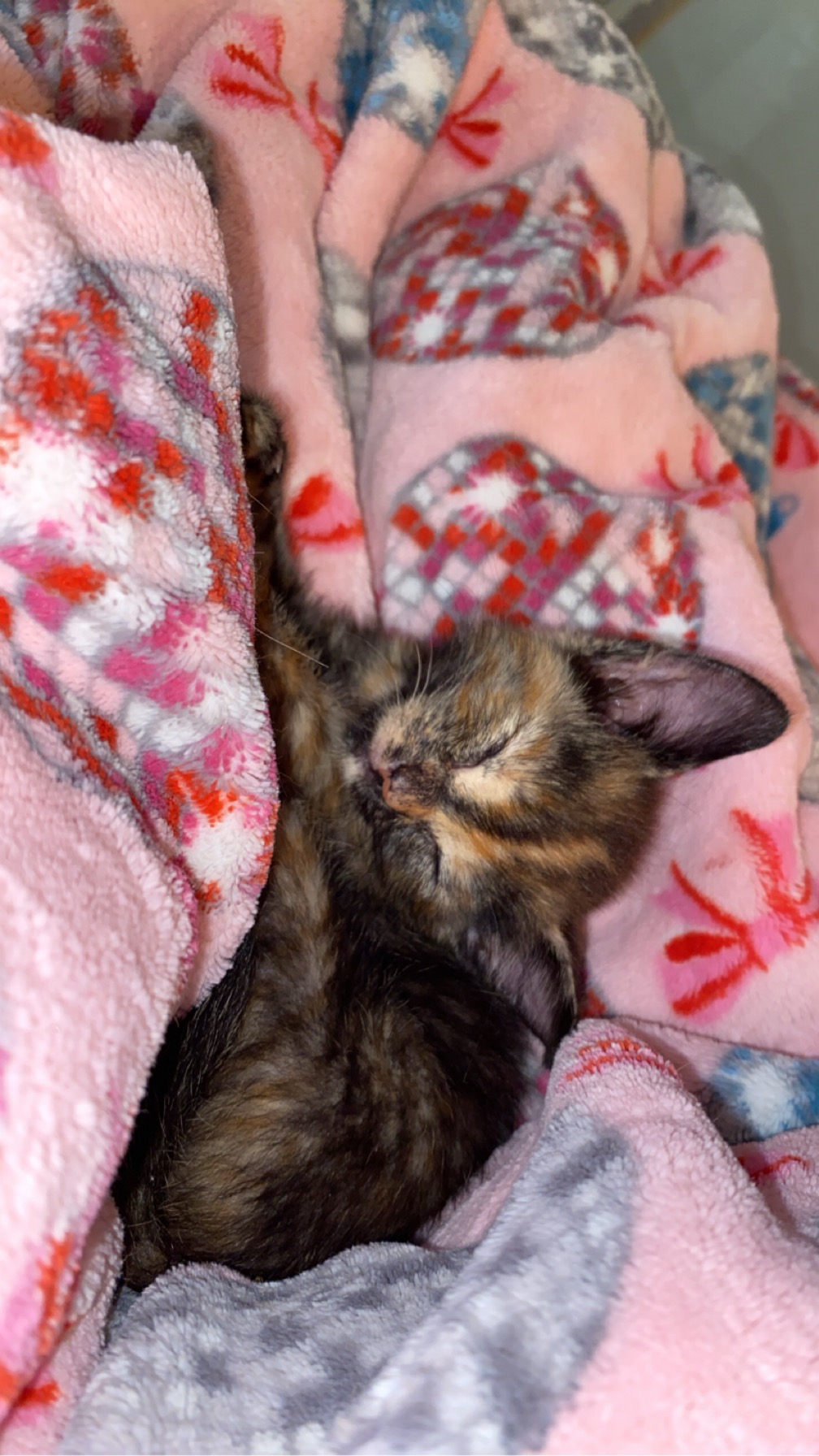 Help Rio’s Pack Out Of Homelessness campaign photo, 4 of 5