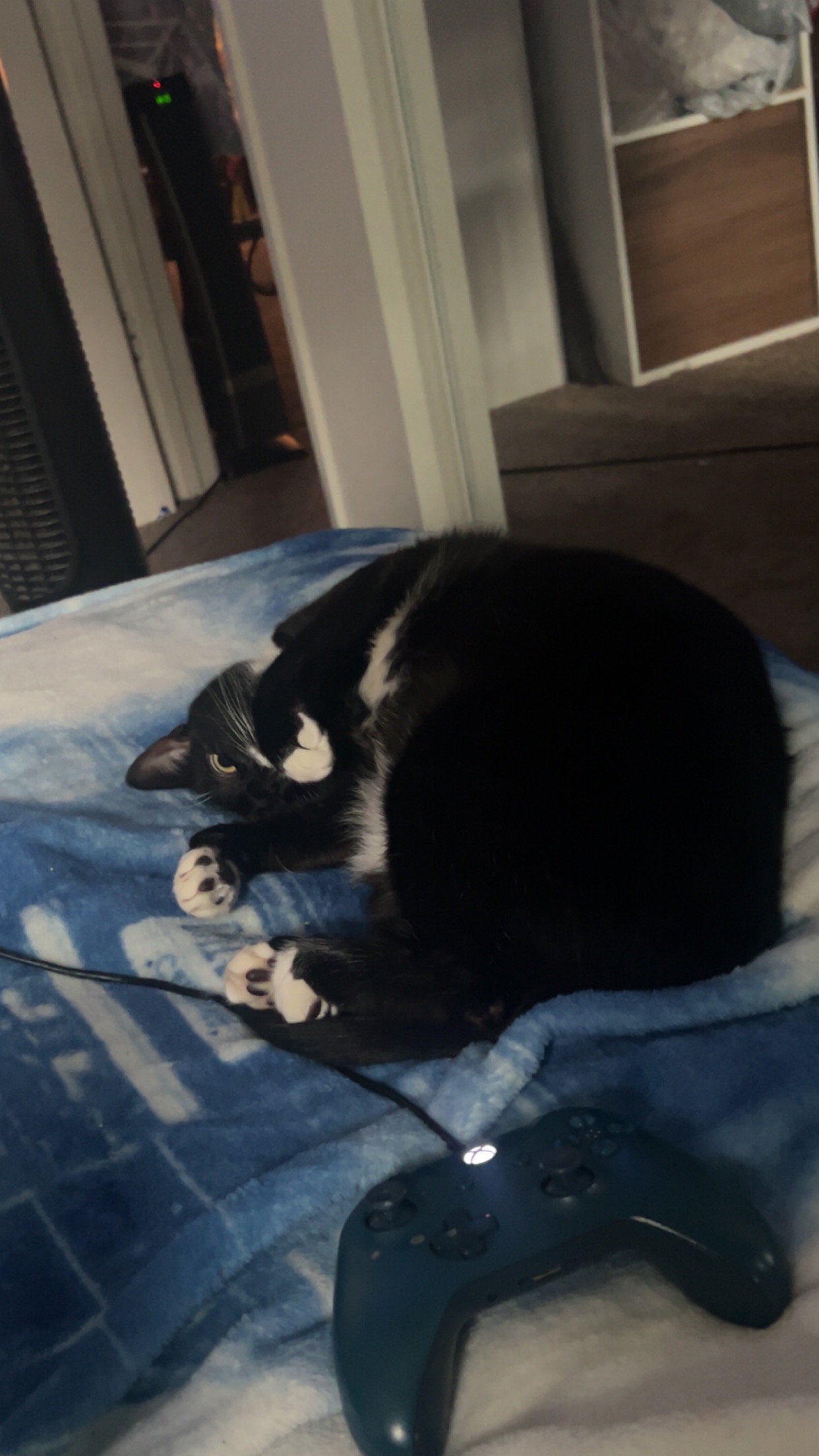 User-uploaded image 1