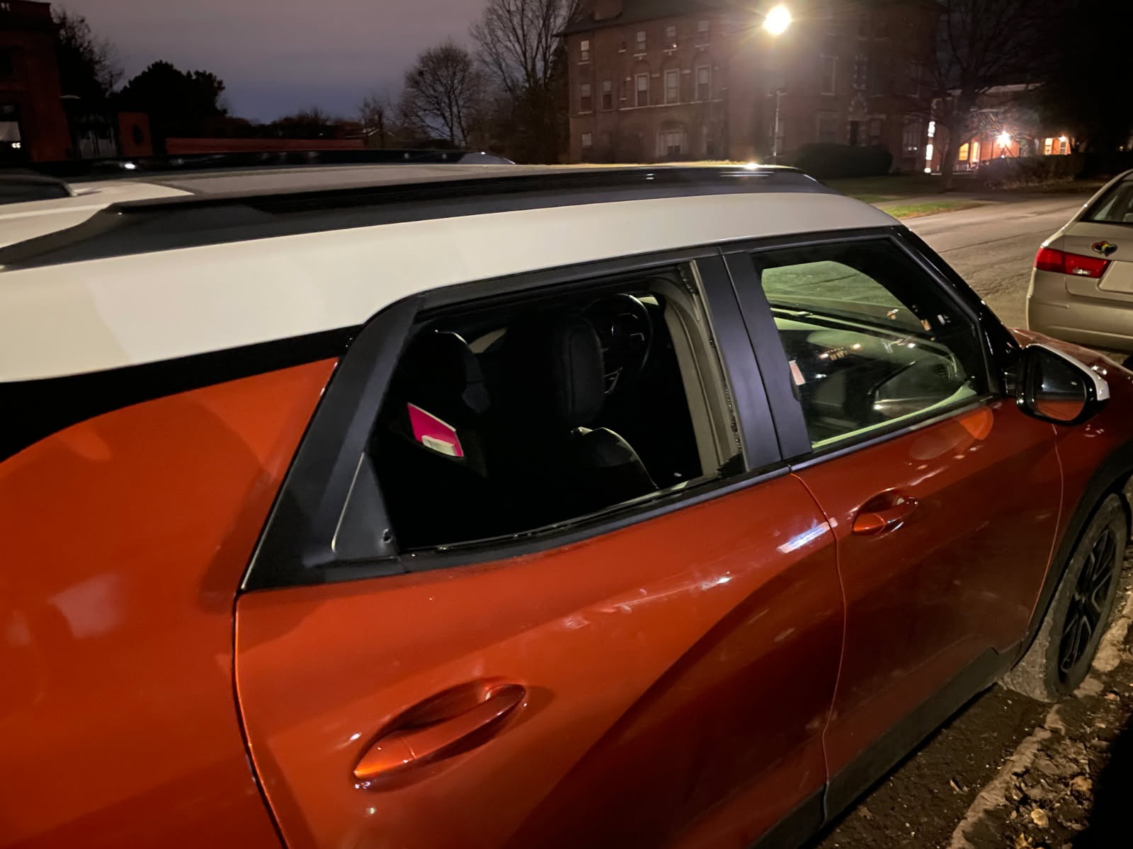 Help Lilly Recover After Car Break-In campaign photo, 5 of 6