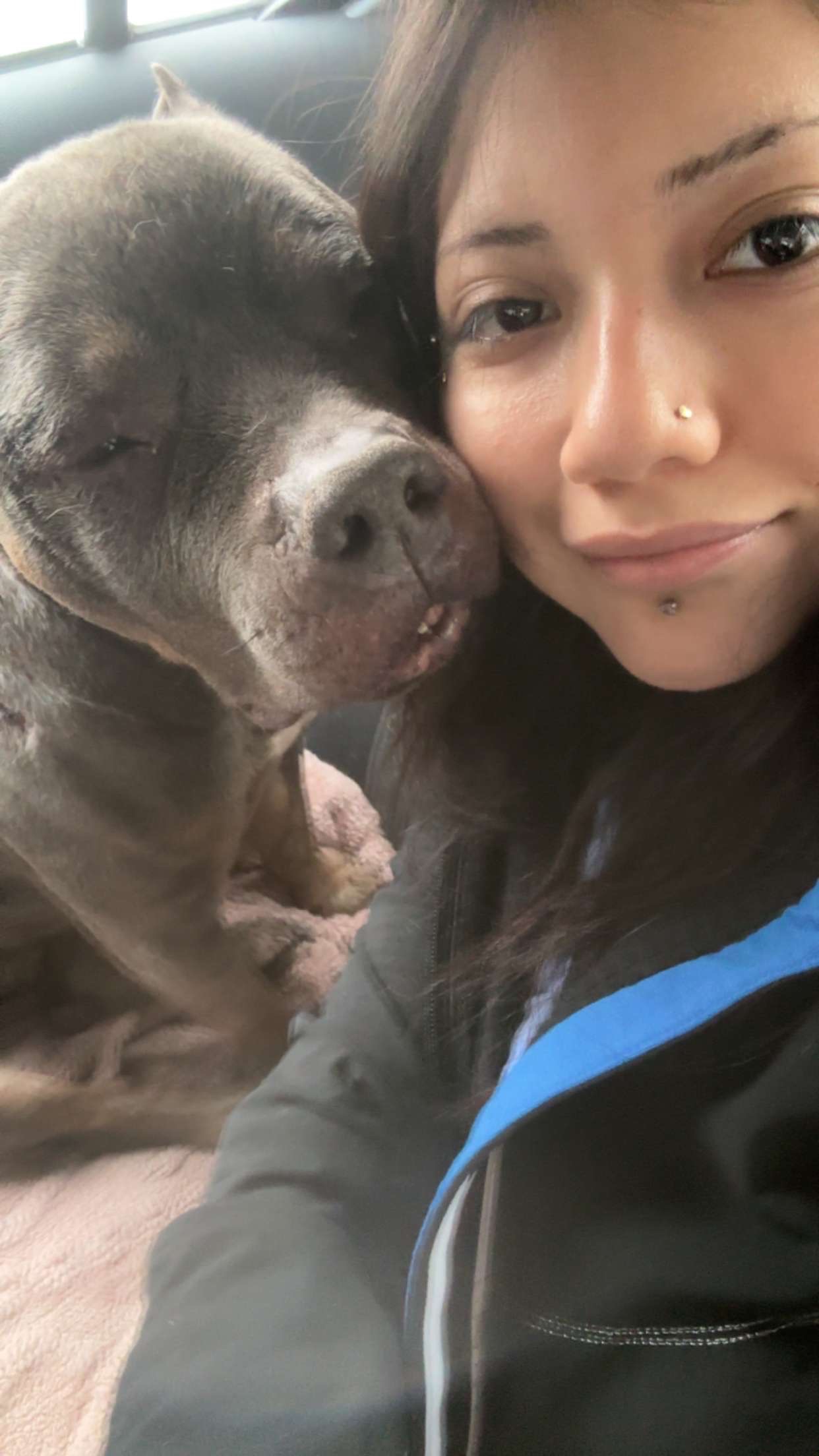 Help a Rescued Dog Get Emergency Vet Care campaign photo, 7 of 8