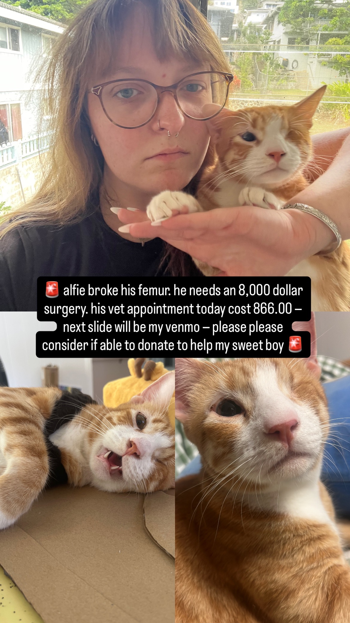 Save Alfie's Life: Donate for Surgery campaign photo, 5 of 6