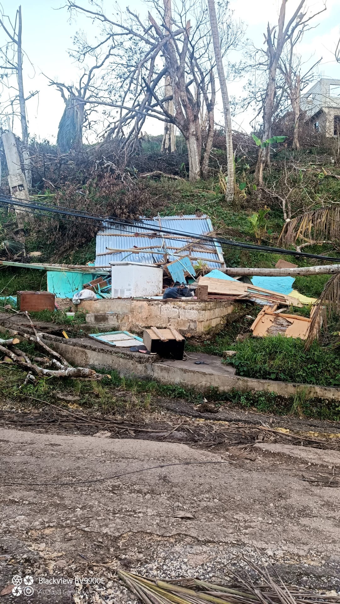 Support Local Farmers in Amity After Hurricane Melissa campaign photo, 7 of 8