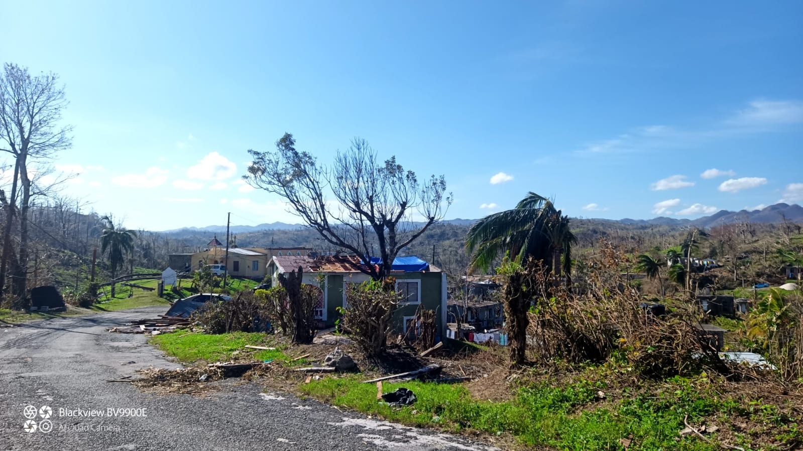 Support Local Farmers in Amity After Hurricane Melissa campaign photo, 4 of 8