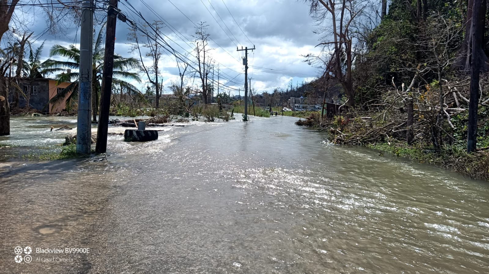 Support Local Farmers in Amity After Hurricane Melissa campaign photo, 5 of 8