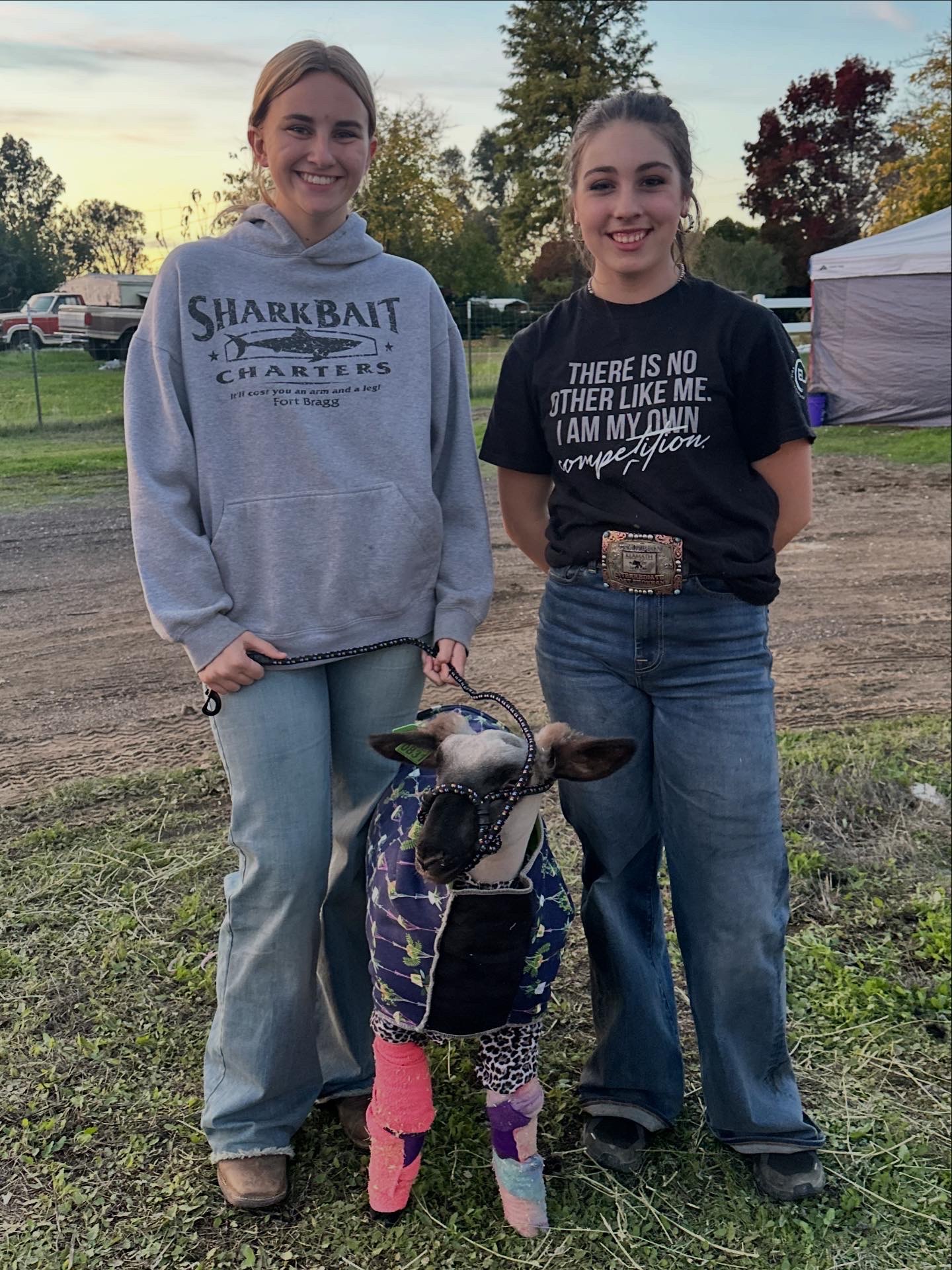 Donate to Ally's First FFA Sheep Project!! campaign photo, 2 of 8