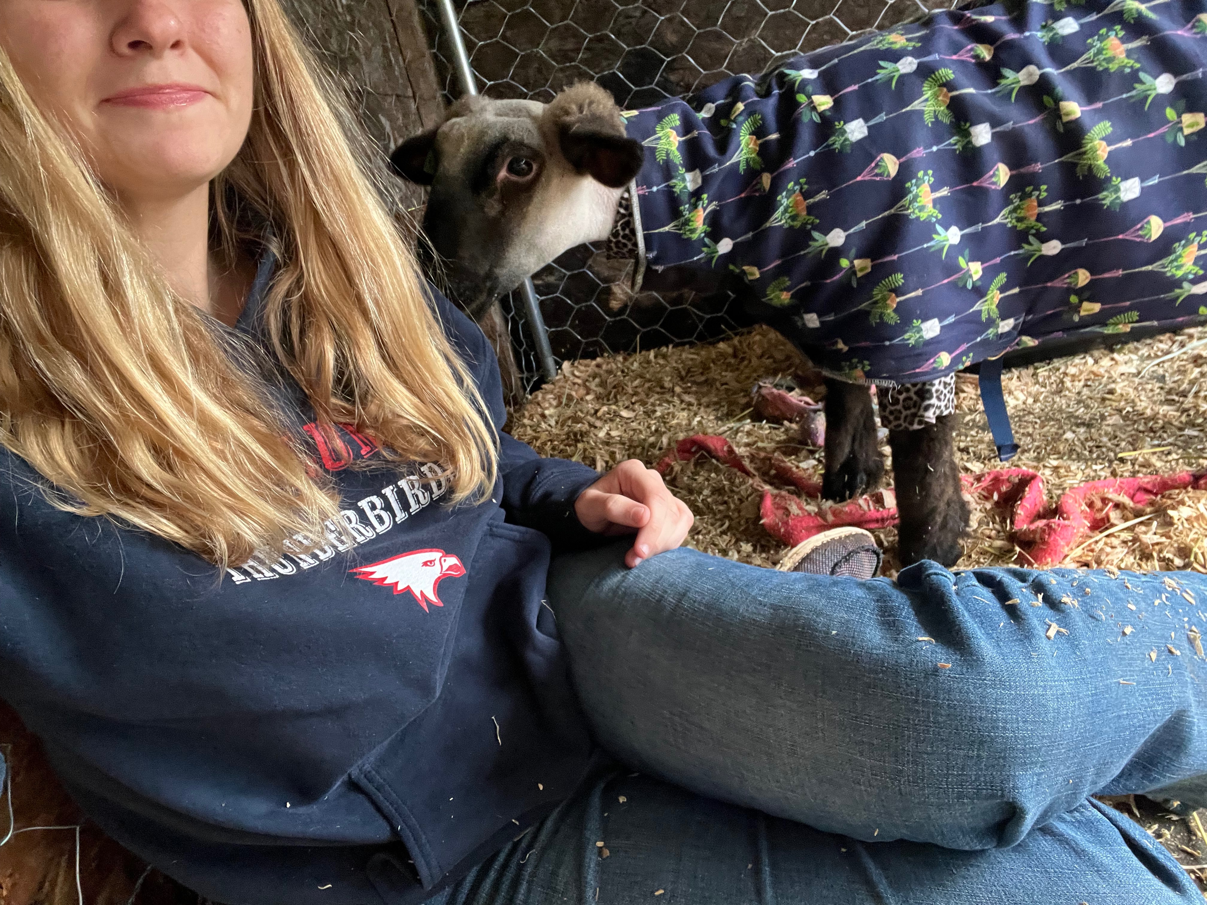 Donate to Ally's First FFA Sheep Project!! campaign photo, 6 of 8