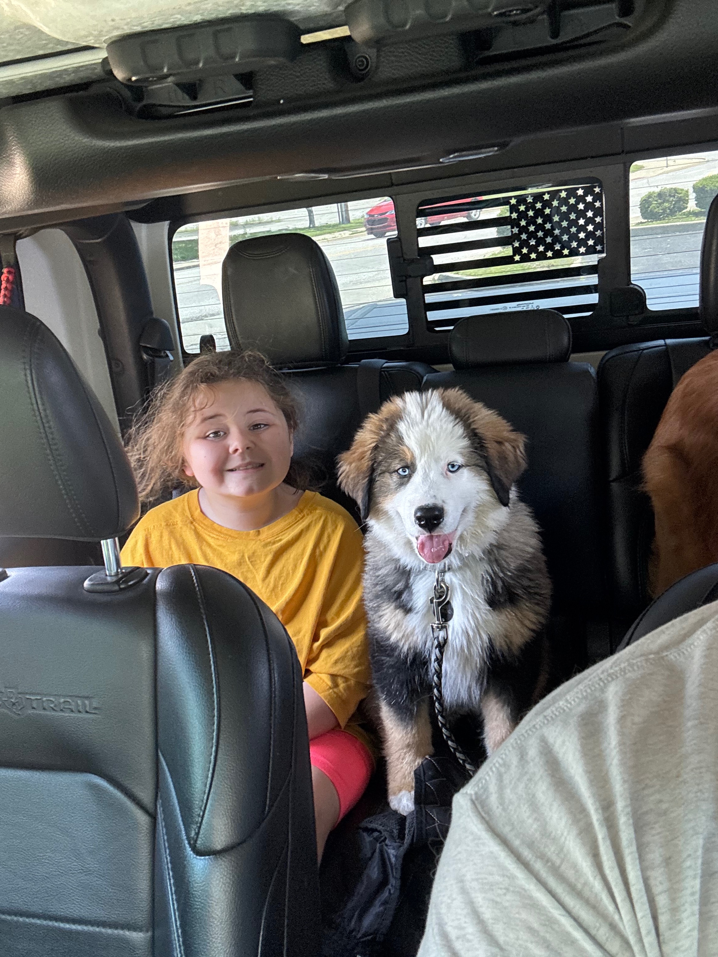 Save Tucker: Emergency Surgery Needed campaign photo, 2 of 5