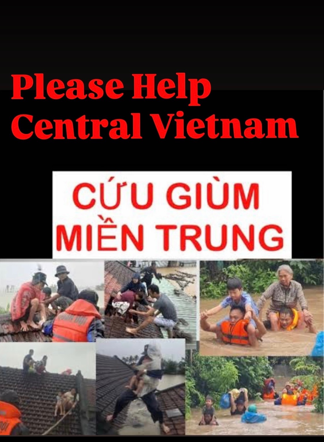 Urgent Help for Flood Victims in Central Vietnam campaign photo, 6 of 8
