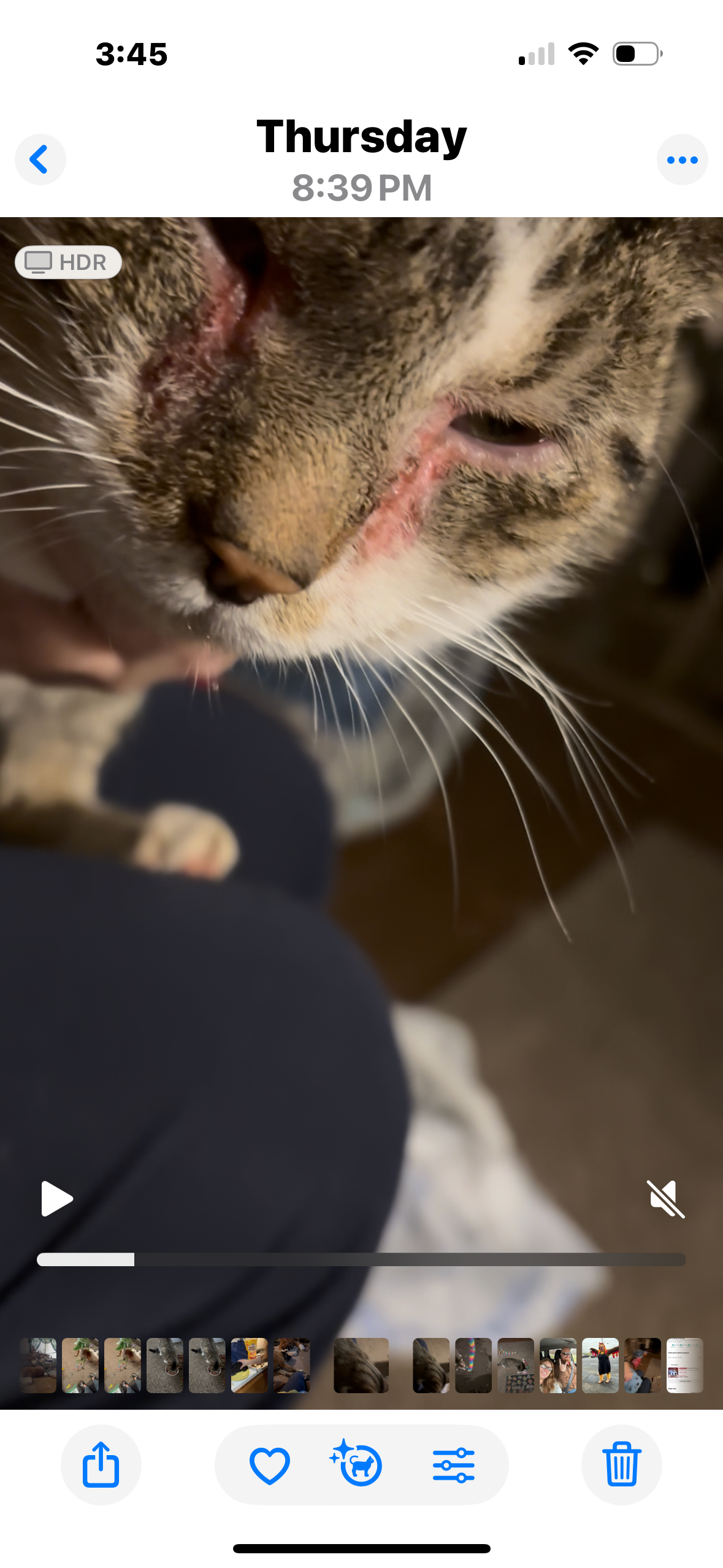 Care for Jake and His Feline Friends campaign photo, 5 of 7