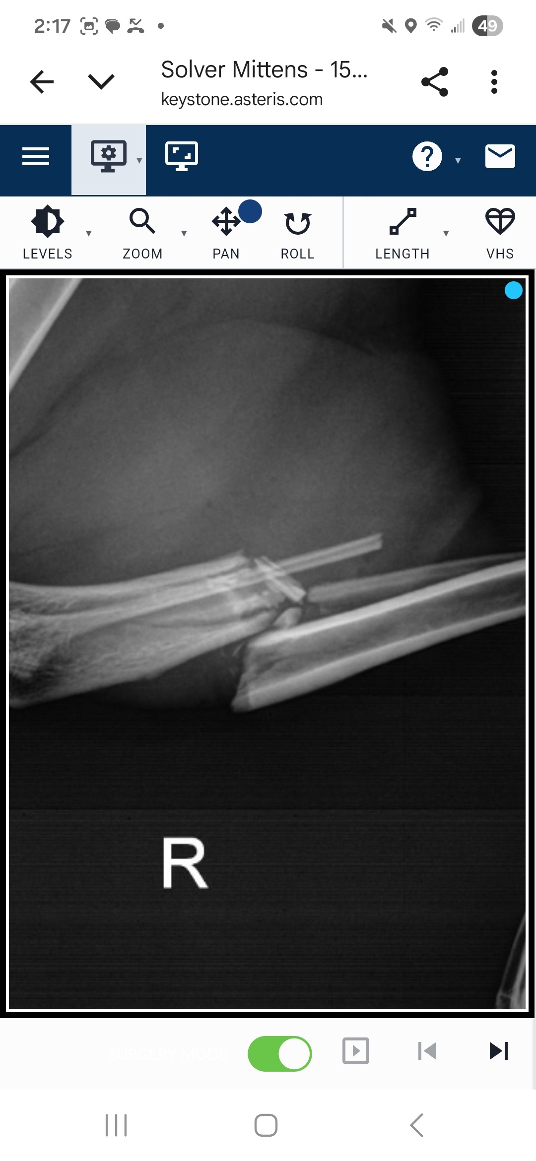 Save Mittins: Urgent Surgery Needed campaign photo, 7 of 8