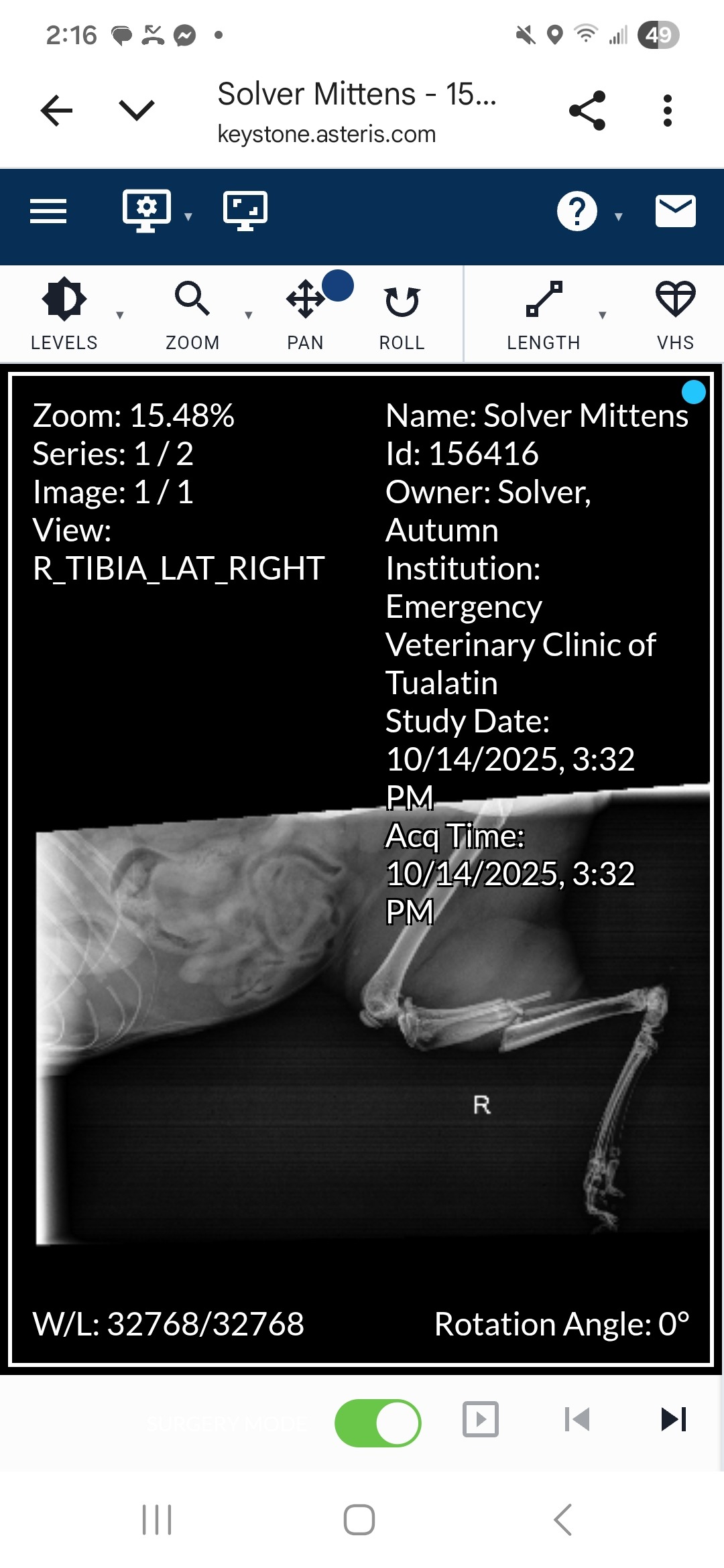 Save Mittins: Urgent Surgery Needed campaign photo, 2 of 8
