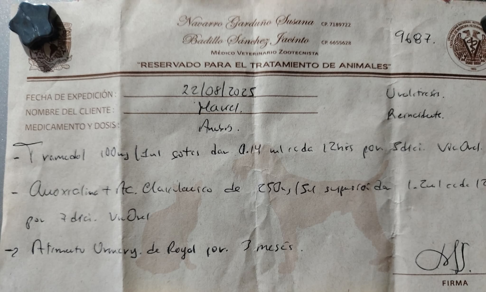 Ayuda a Anubis por favor! : Su comida Renal es su medicina campaign photo, 7 of 8