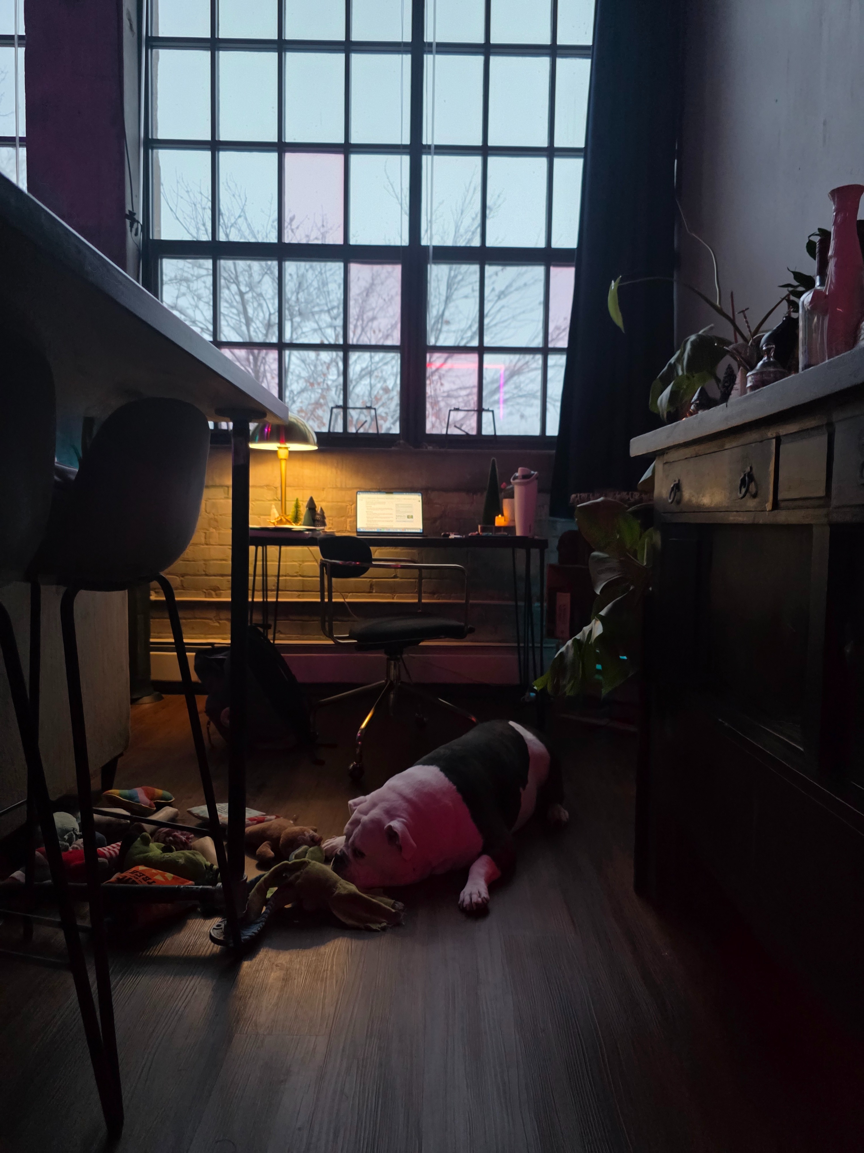 Help Brett Stay in School and Keep a Roof Over Piggie's Head campaign photo, 2 of 8