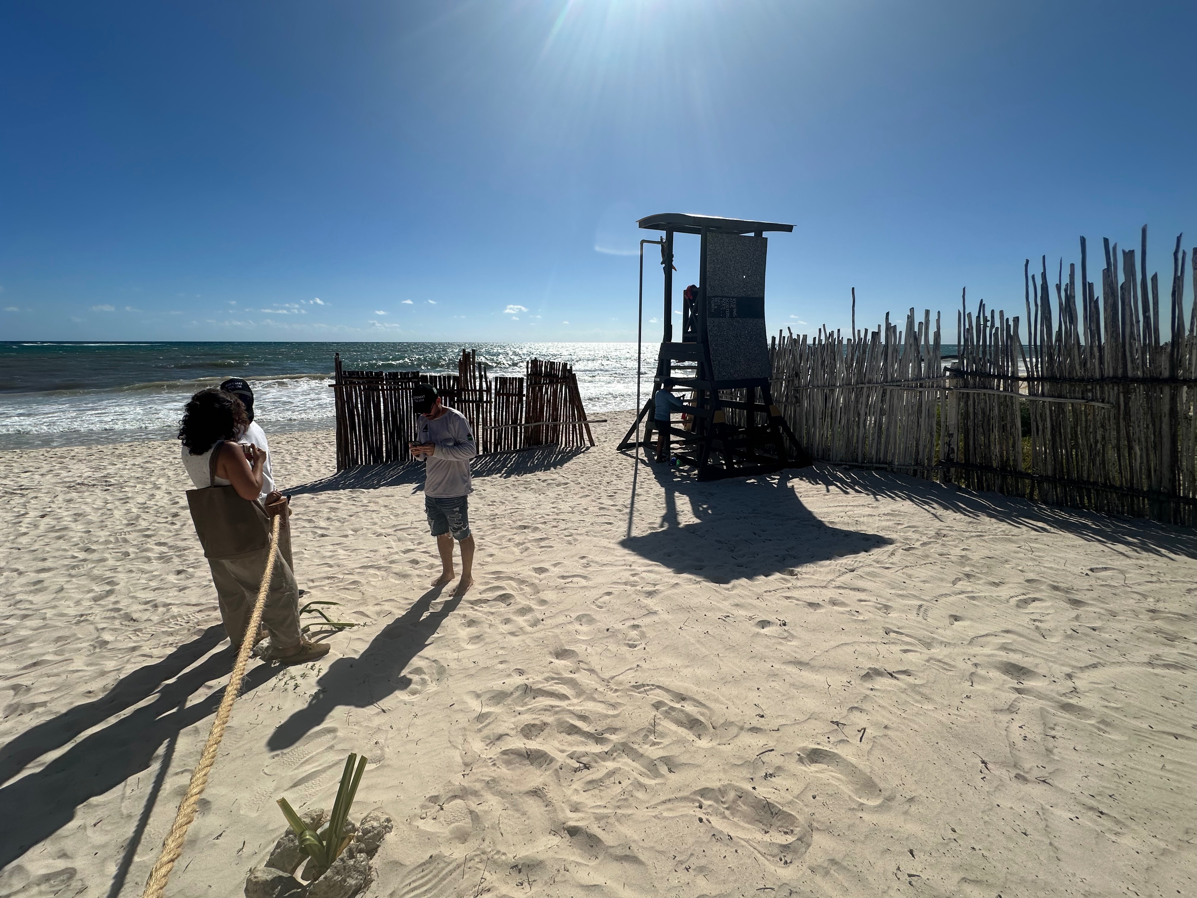 Help build a Free Community Gym on Tulum Beach campaign photo, 4 of 8
