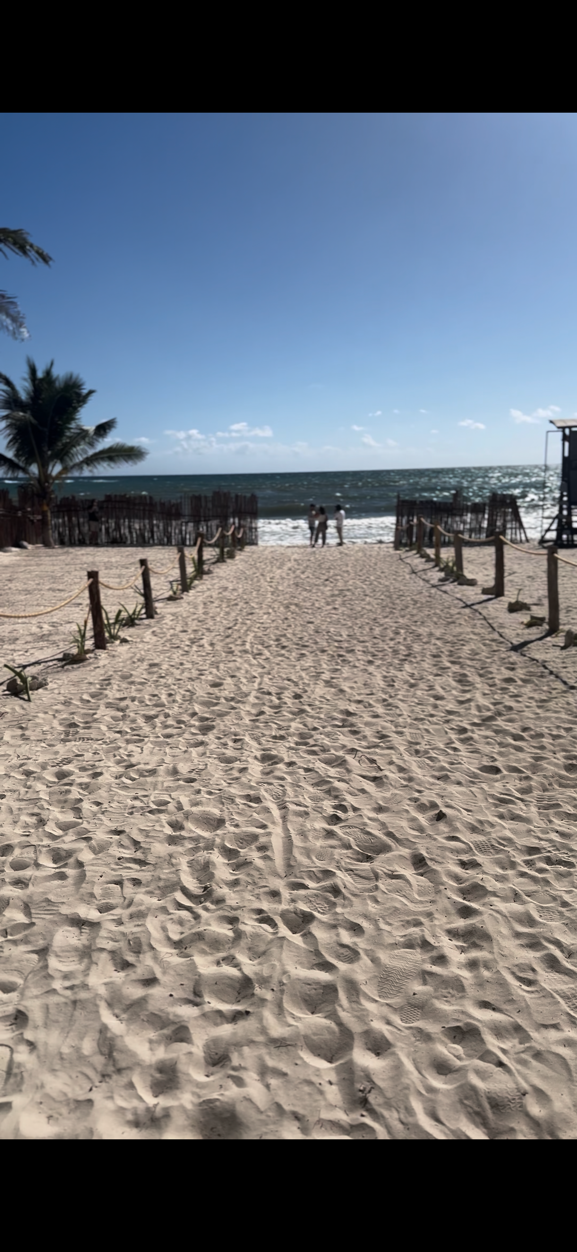 Help build a Free Community Gym on Tulum Beach campaign photo, 5 of 8