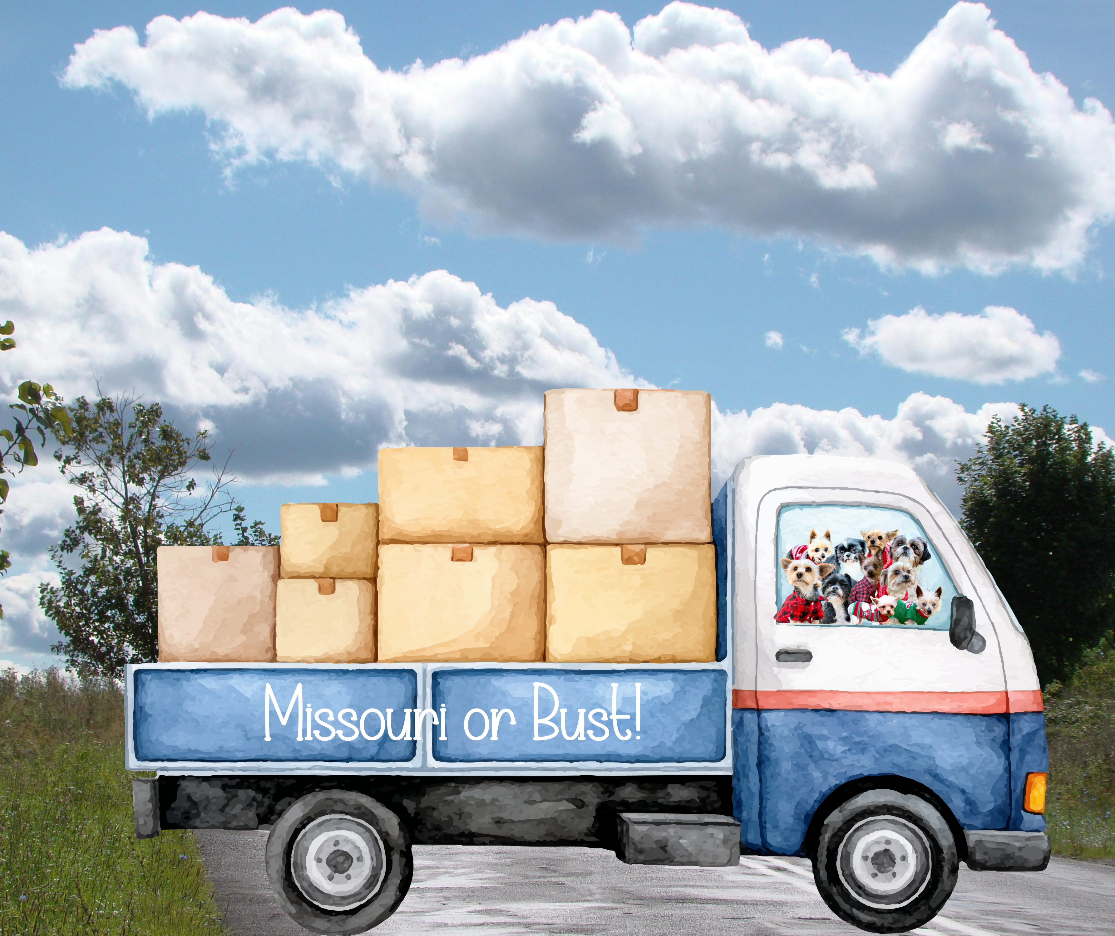 Support Tiny Mighty Team's Big Move campaign photo, 2 of 4